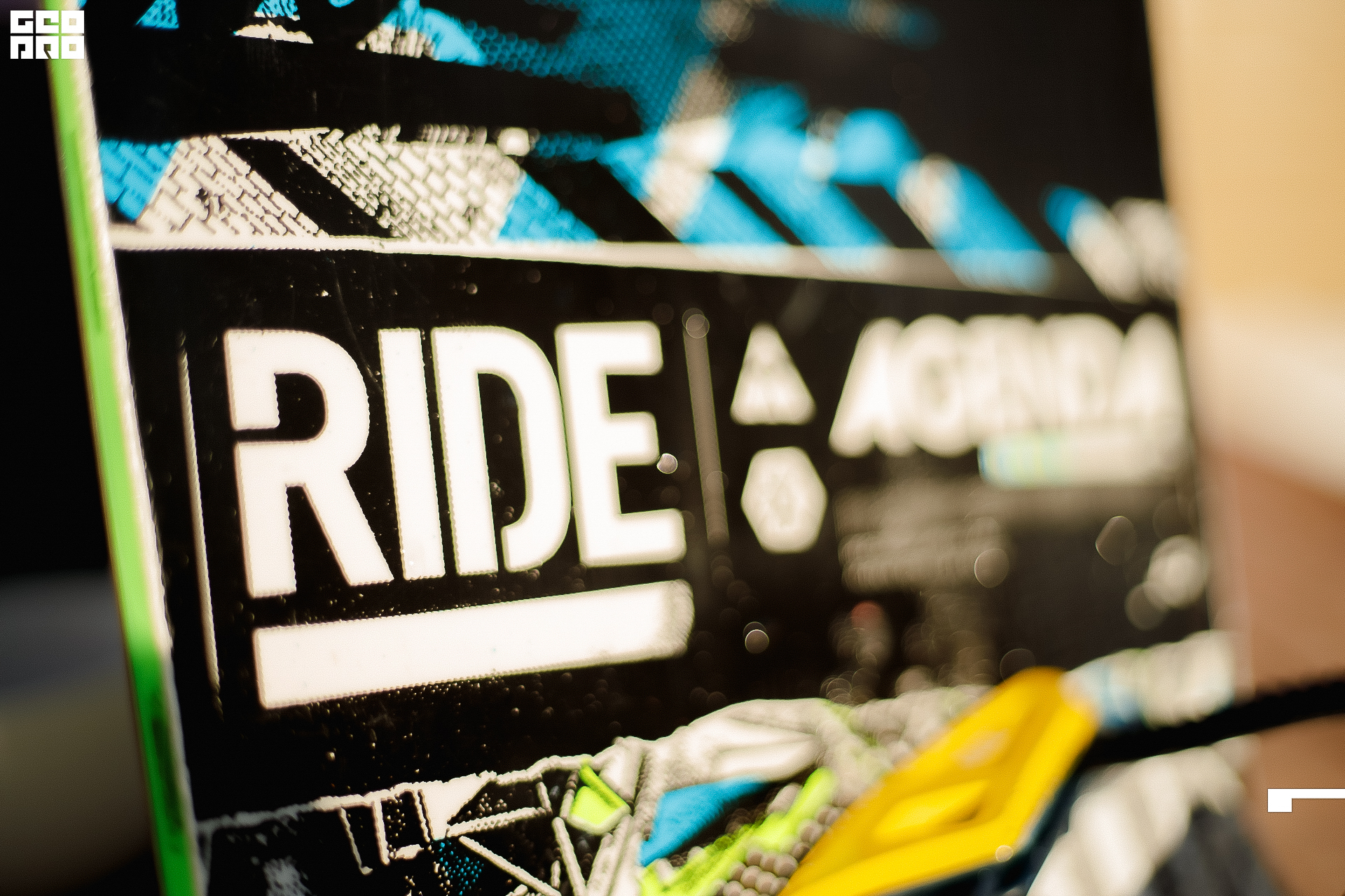 207_22-02-19 ISAEVA.jpg