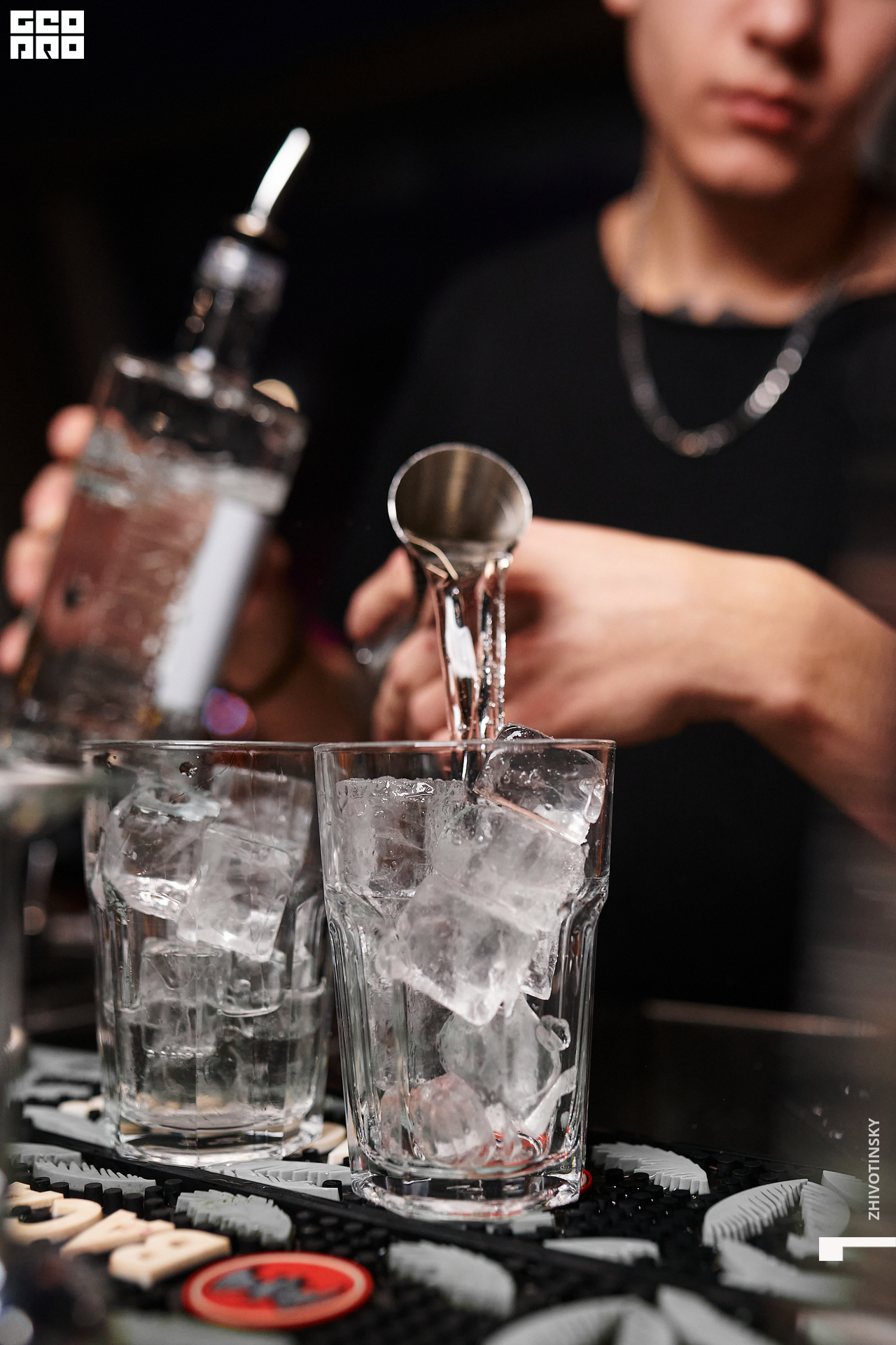 033_16-01-22_1-13 _Zhivotinsky.jpg