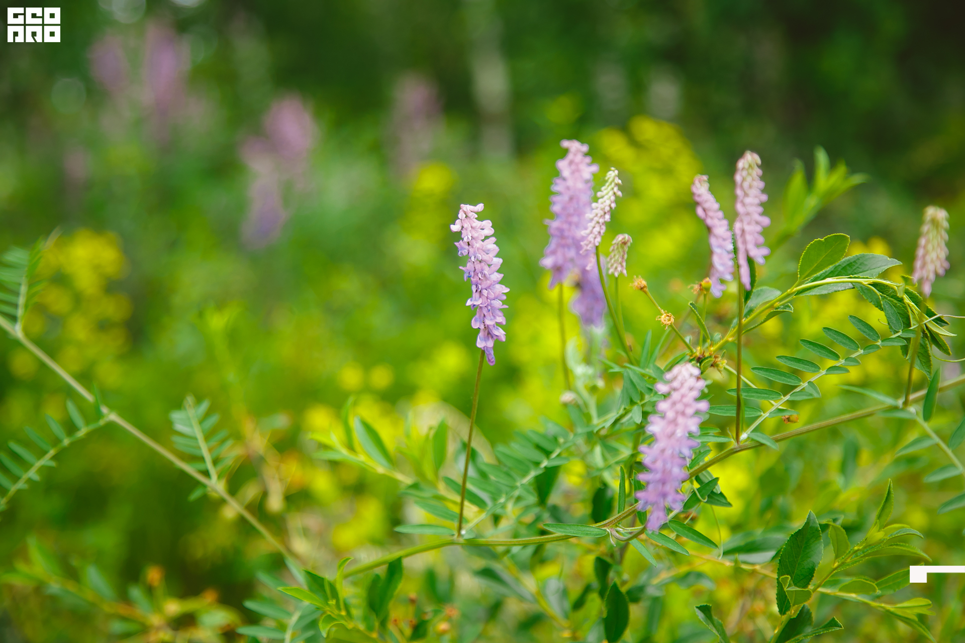 163  06192022  233630 .jpg