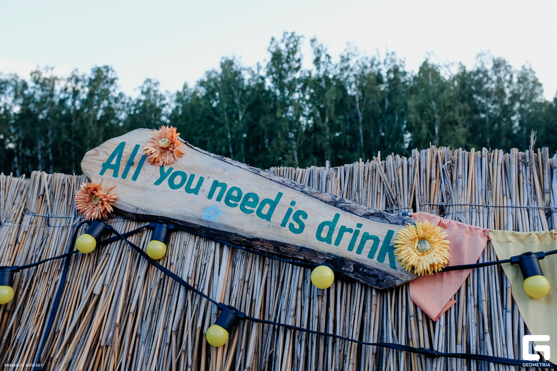 019 20240803 194928_ermkv.jpg