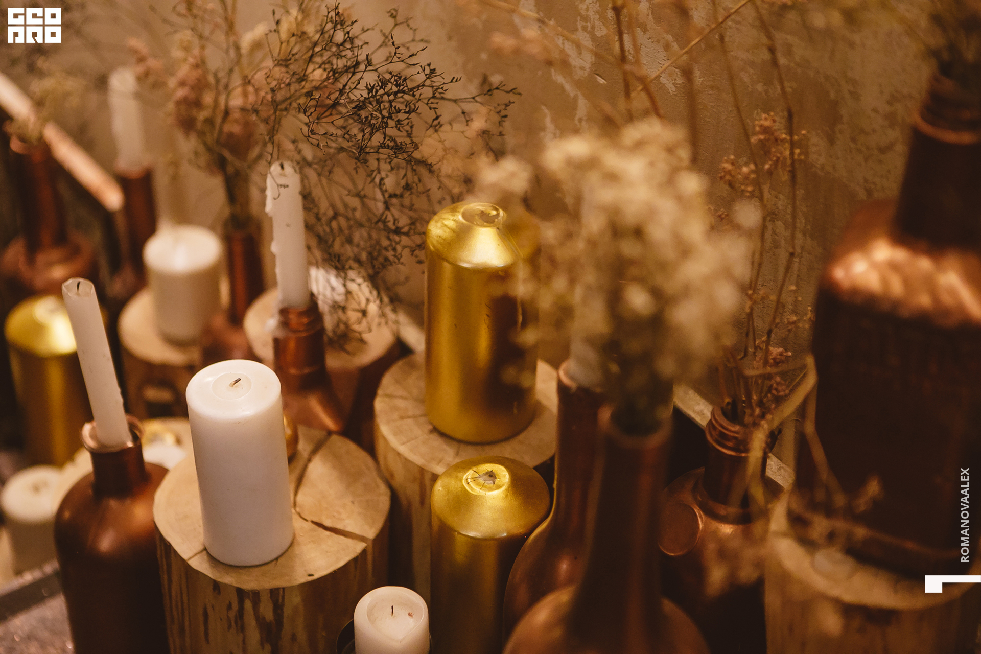 018  ale_romanova.jpg