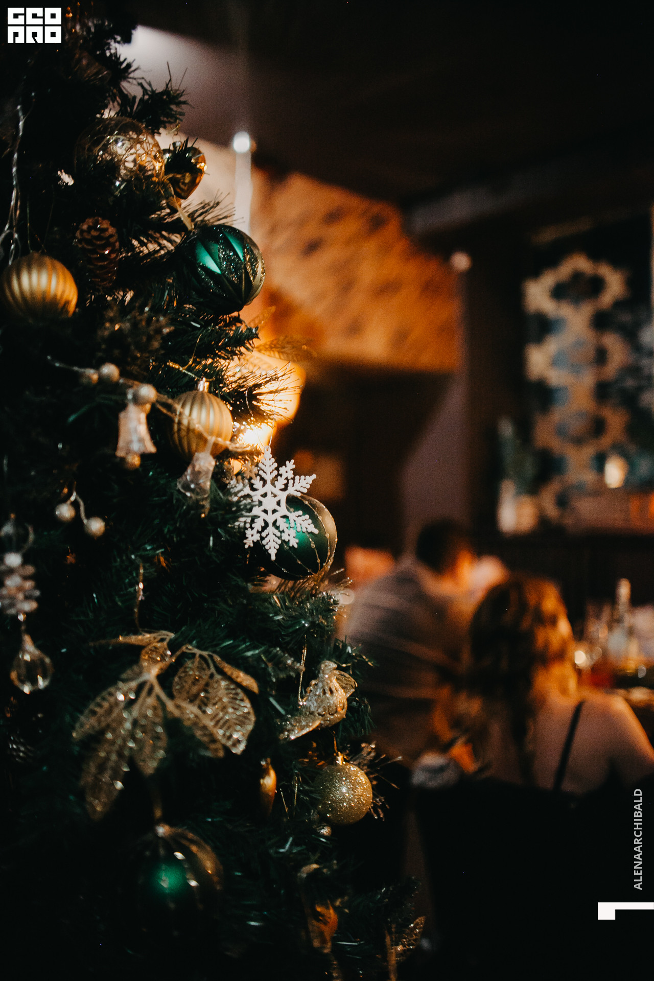 2021-12-25 20-00-41_alenaarchibald032.JPG