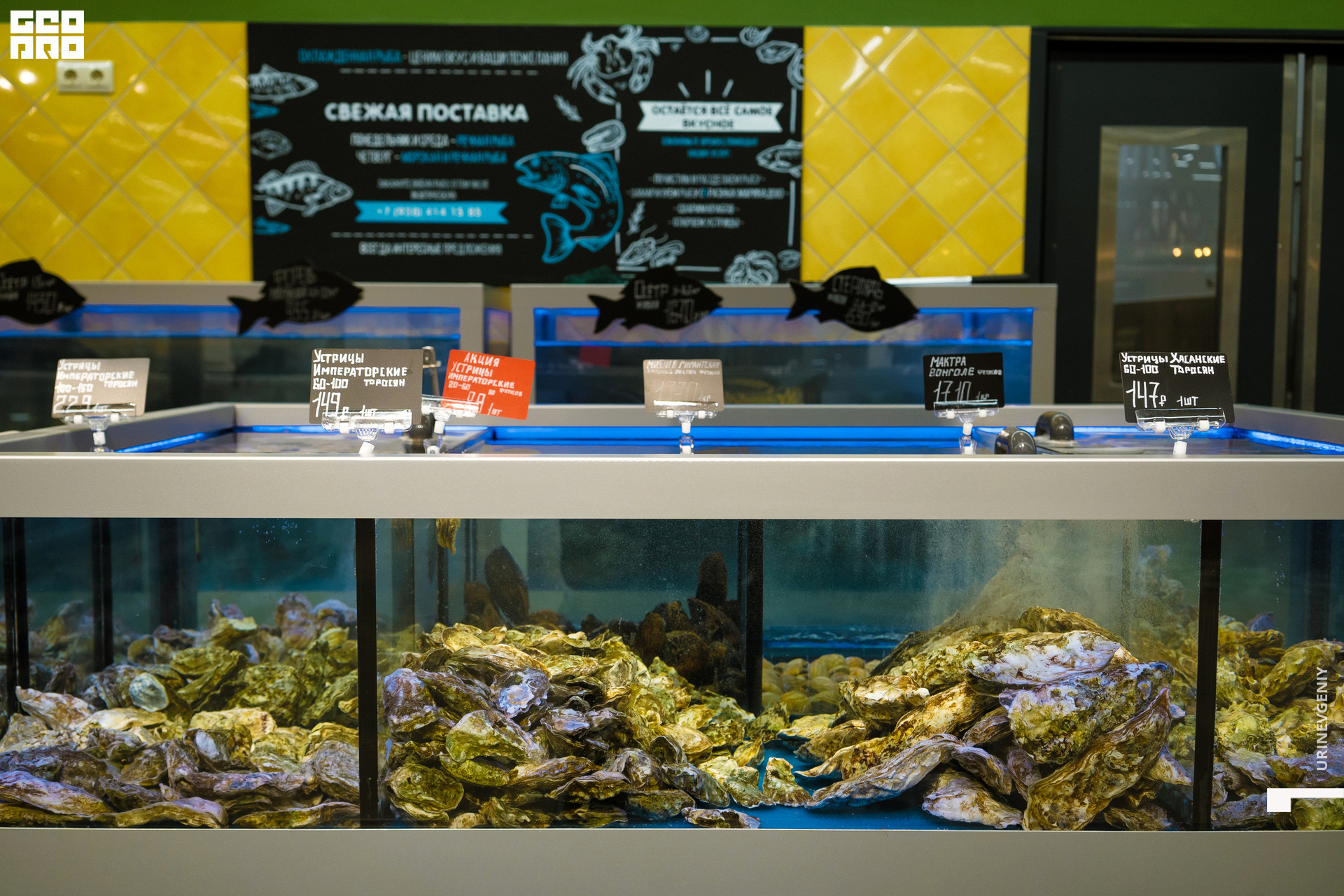 05.02.2021. Табрис (40).jpg