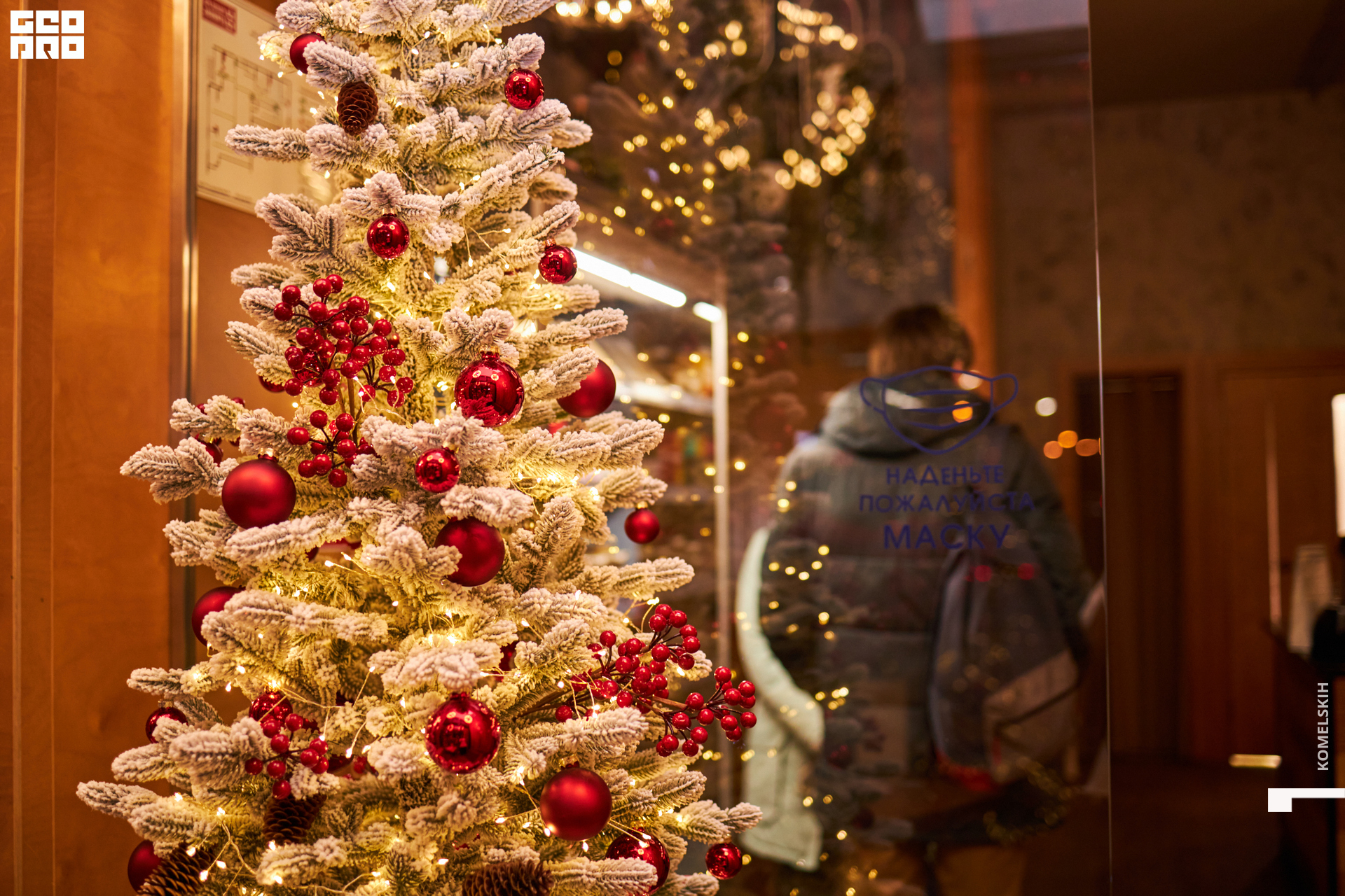 005-2022_12_02-18-56-36 - Komelskih.jpg