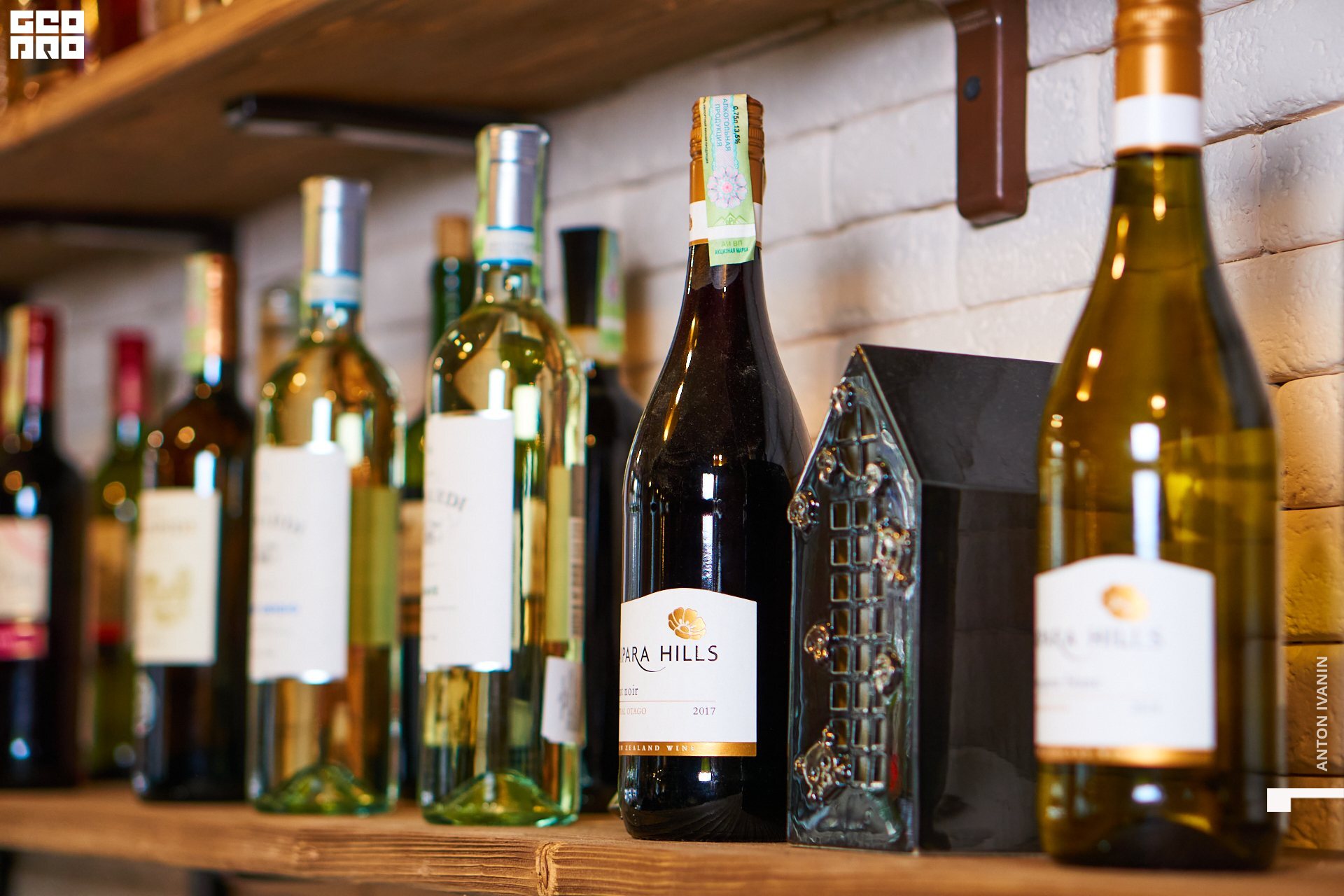 DSC04586 (Копировать).jpg