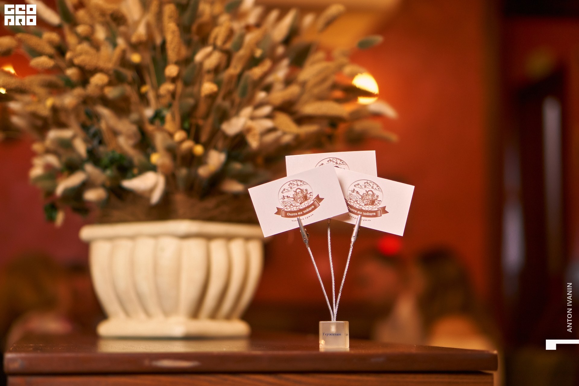 DSC06142 (Копировать).jpg