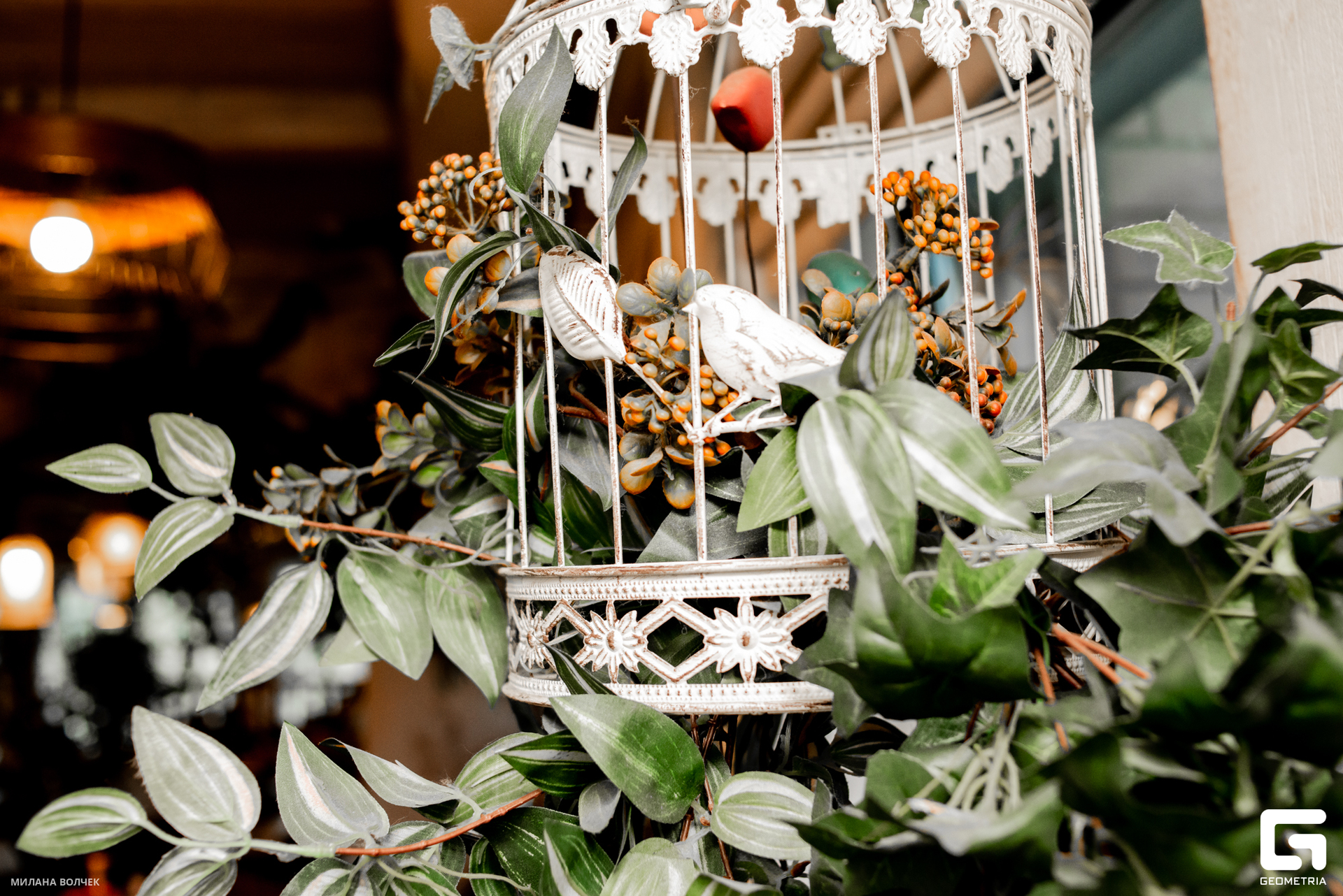 040_20230707 Волчек.jpg