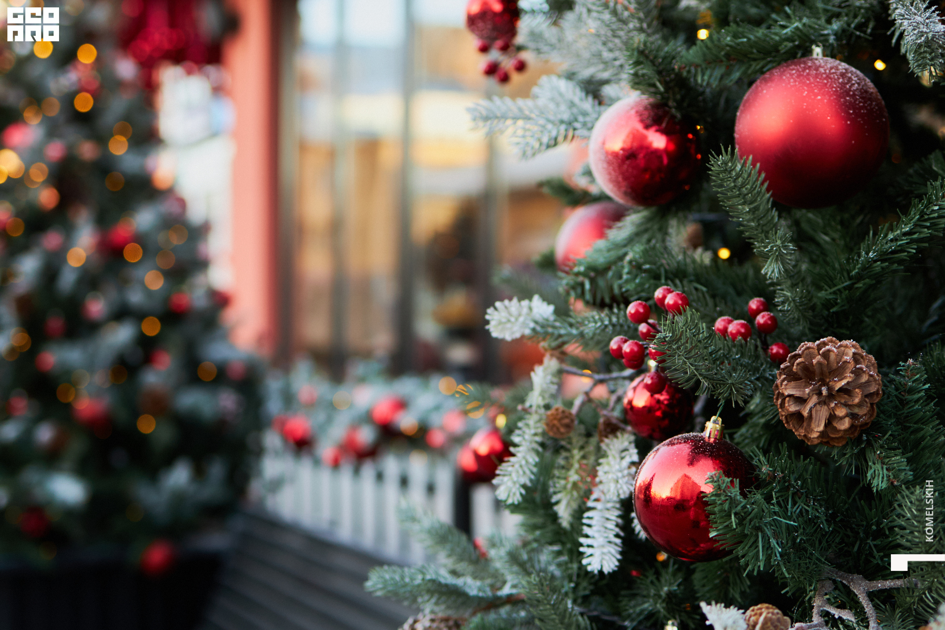 018-2022_12_03-14-06-41 - Komelskih.jpg