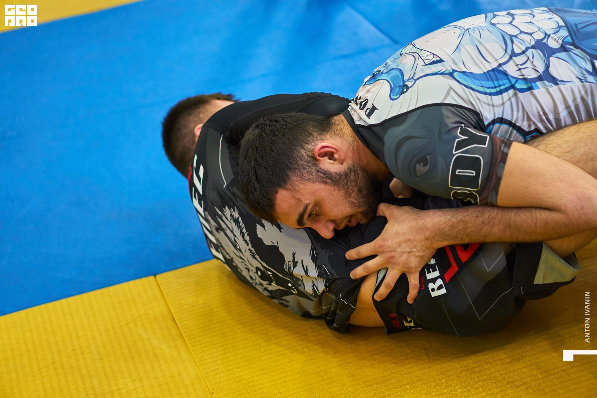 DSC09403 (Копировать).jpg