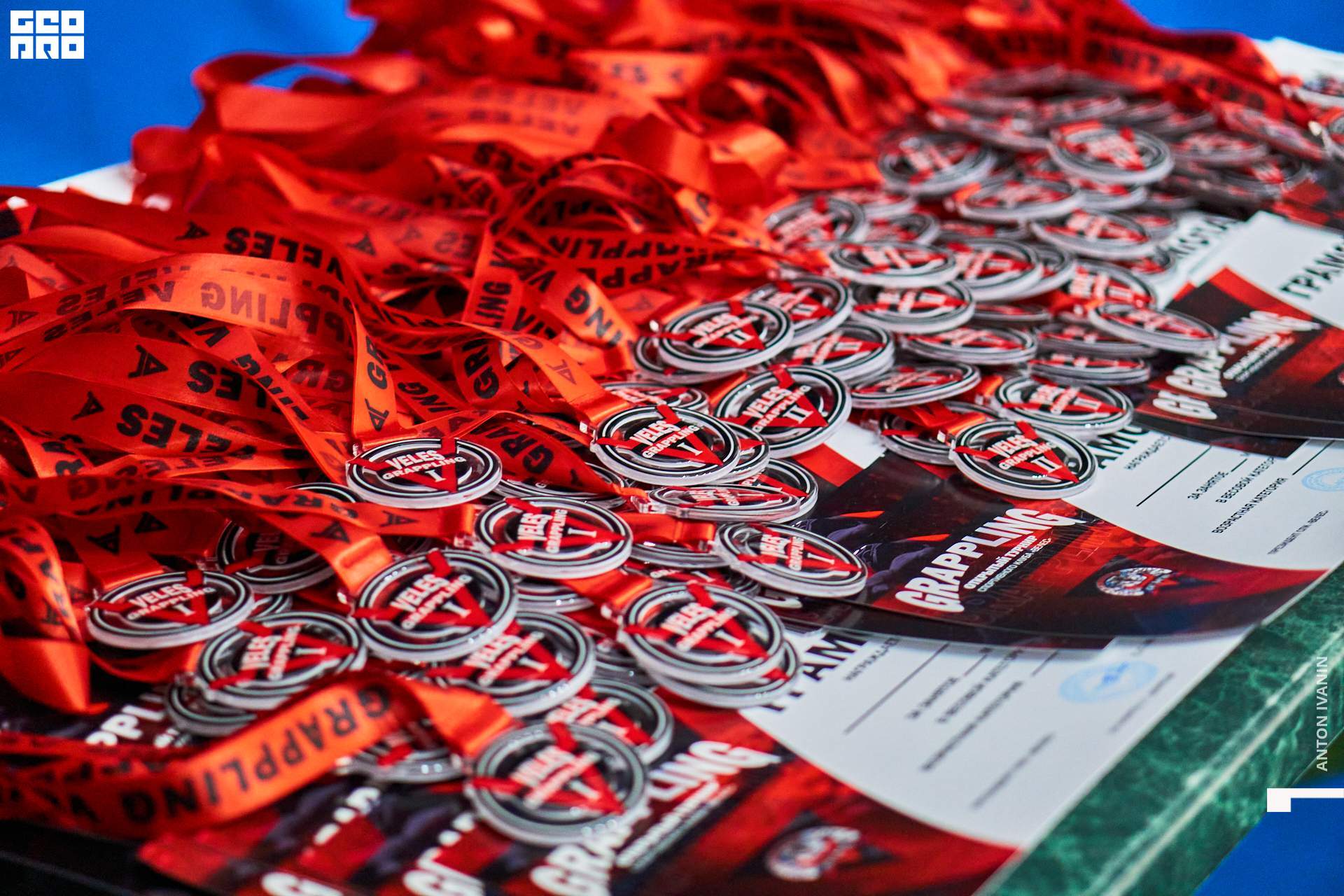 DSC08572 (Копировать).jpg