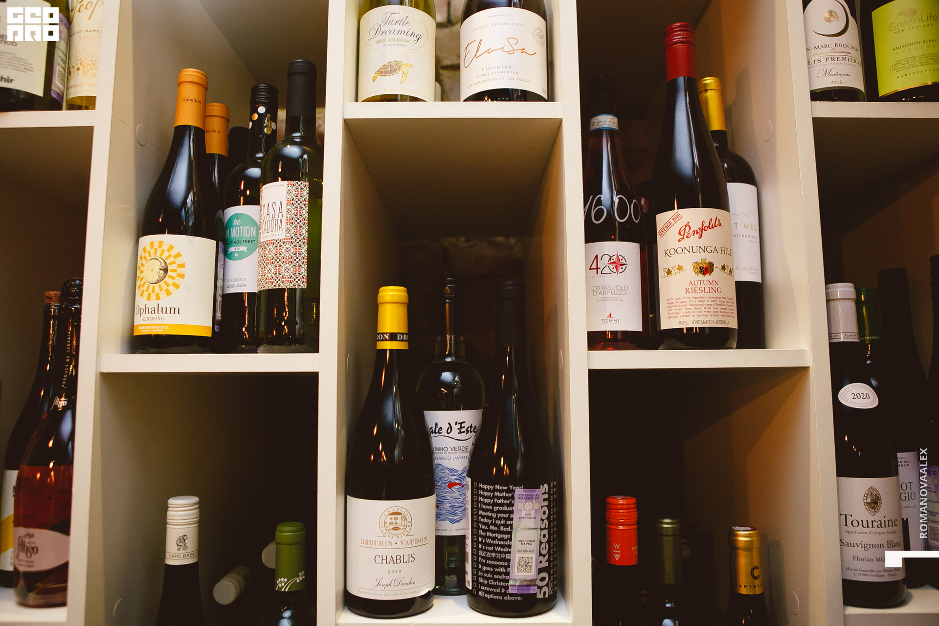 021 211005  215527 _ale_romanova.jpg