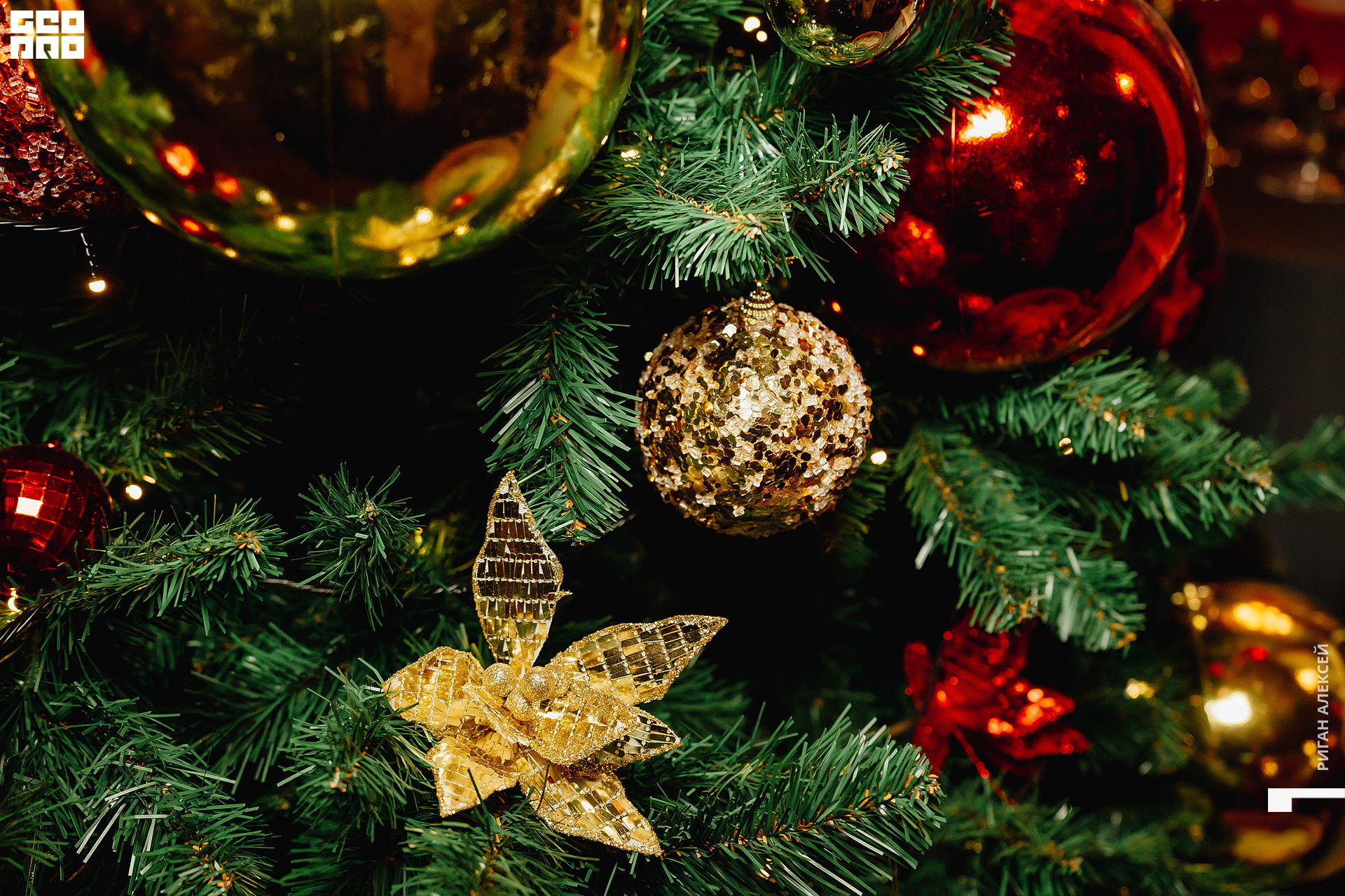 ПЯТОЕ КОЛЕСО НГ 2023 00166.jpg