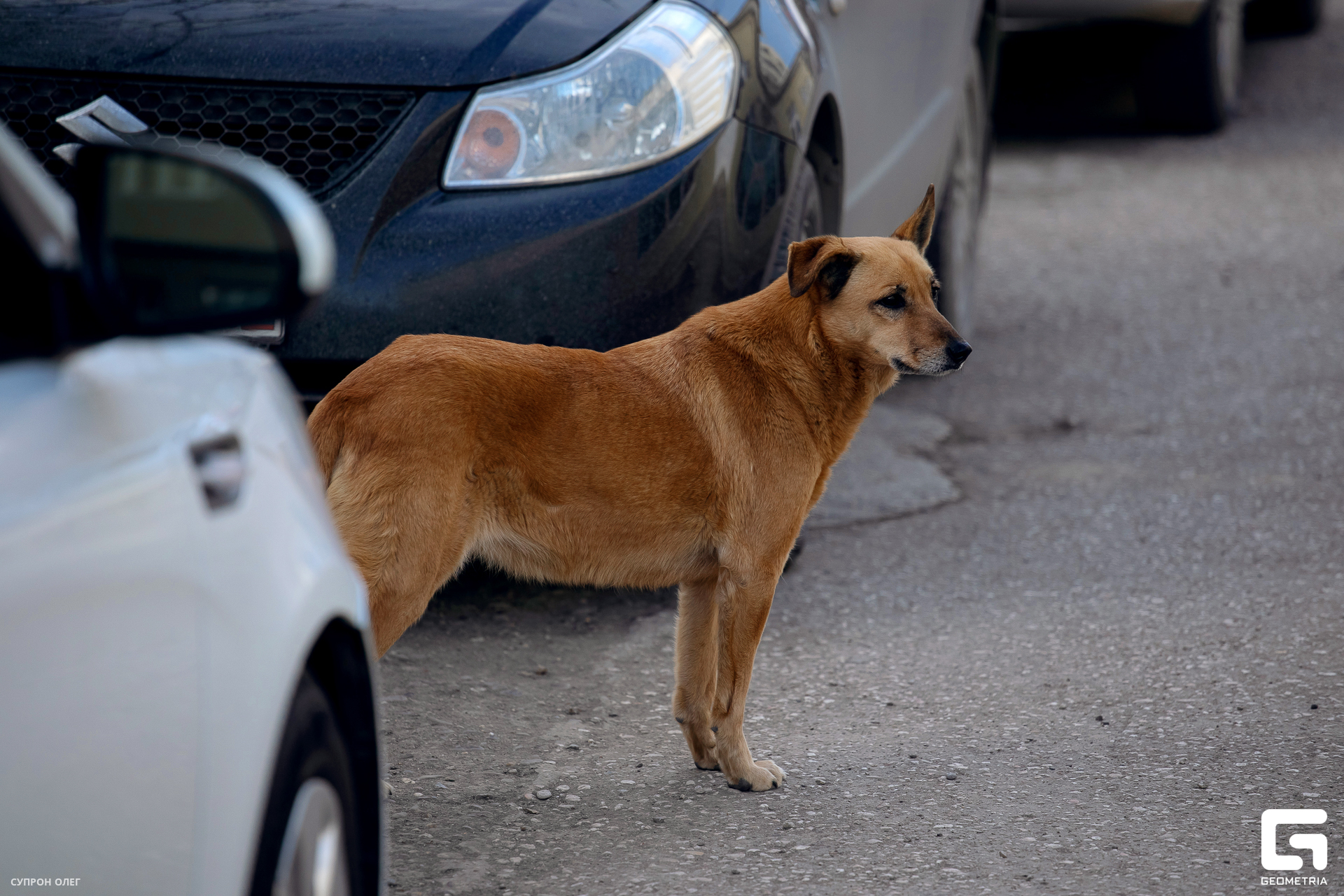 0N5A0100 копия.jpg