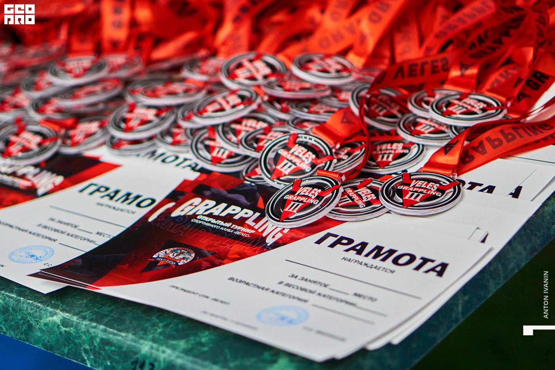 DSC08570 (Копировать).jpg