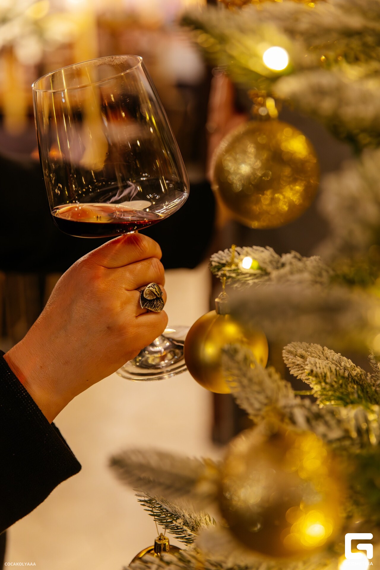 PET67556-Улучшено-Ум_resized. шума.jpg