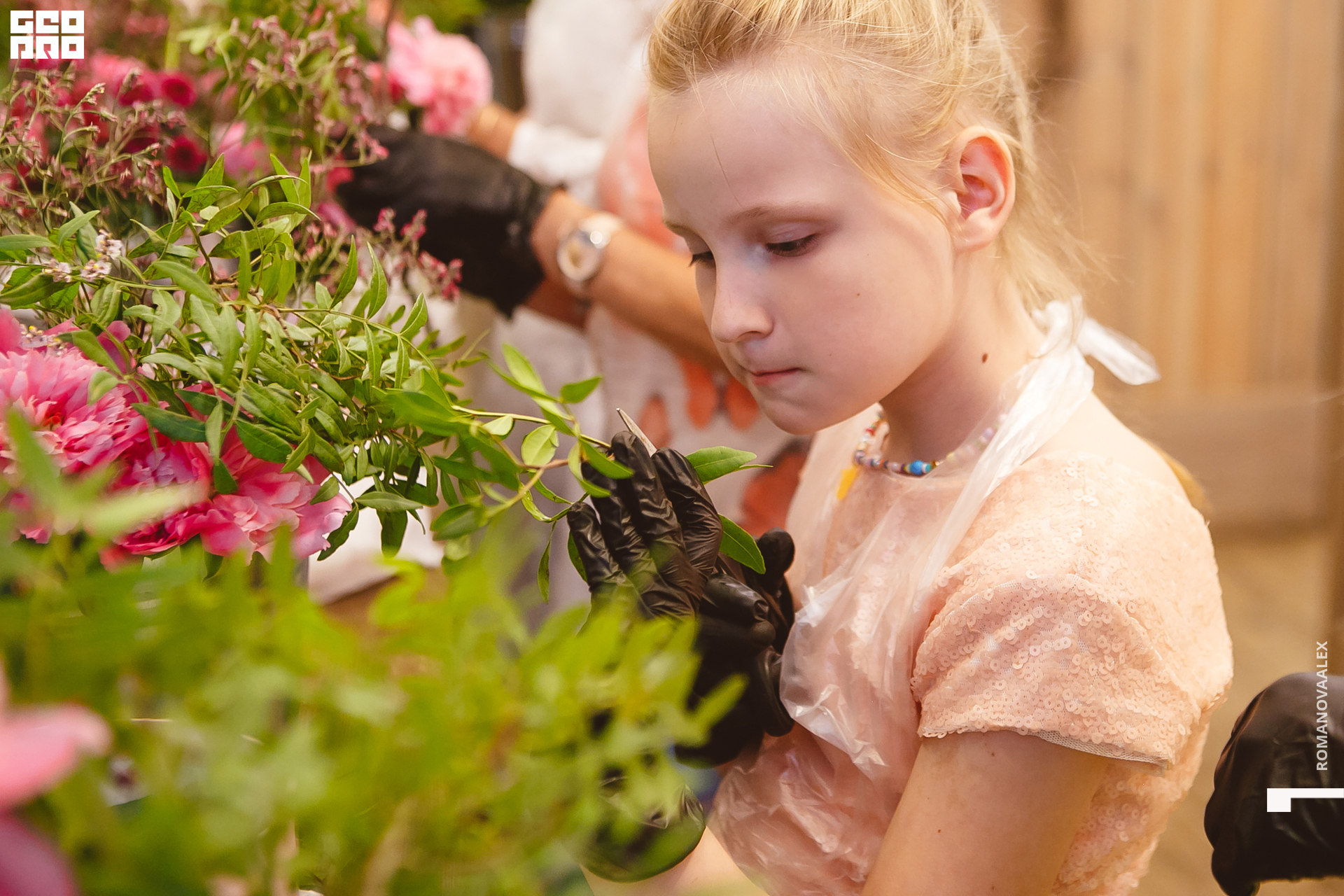 042 210615  202623 _romanovaalex.jpg