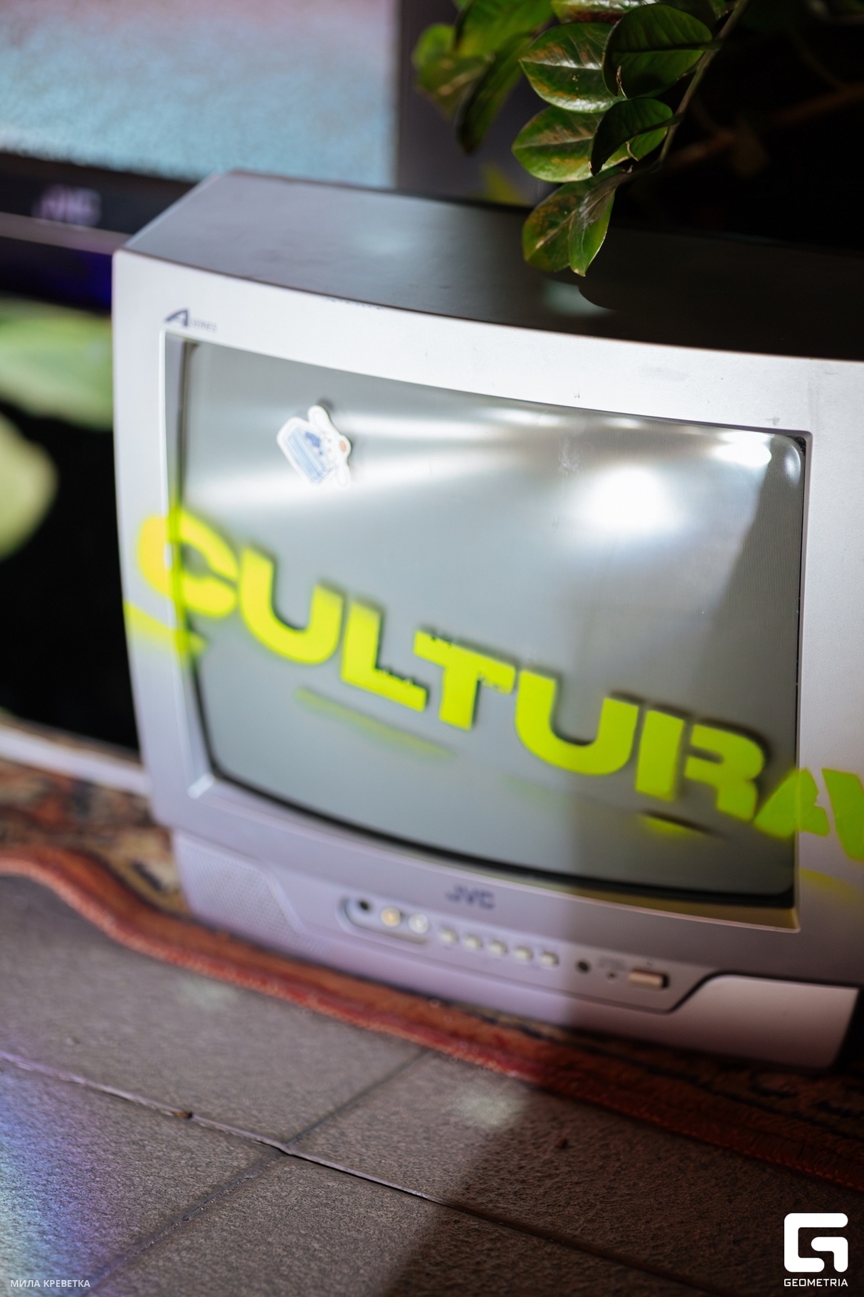 CULTURA 30