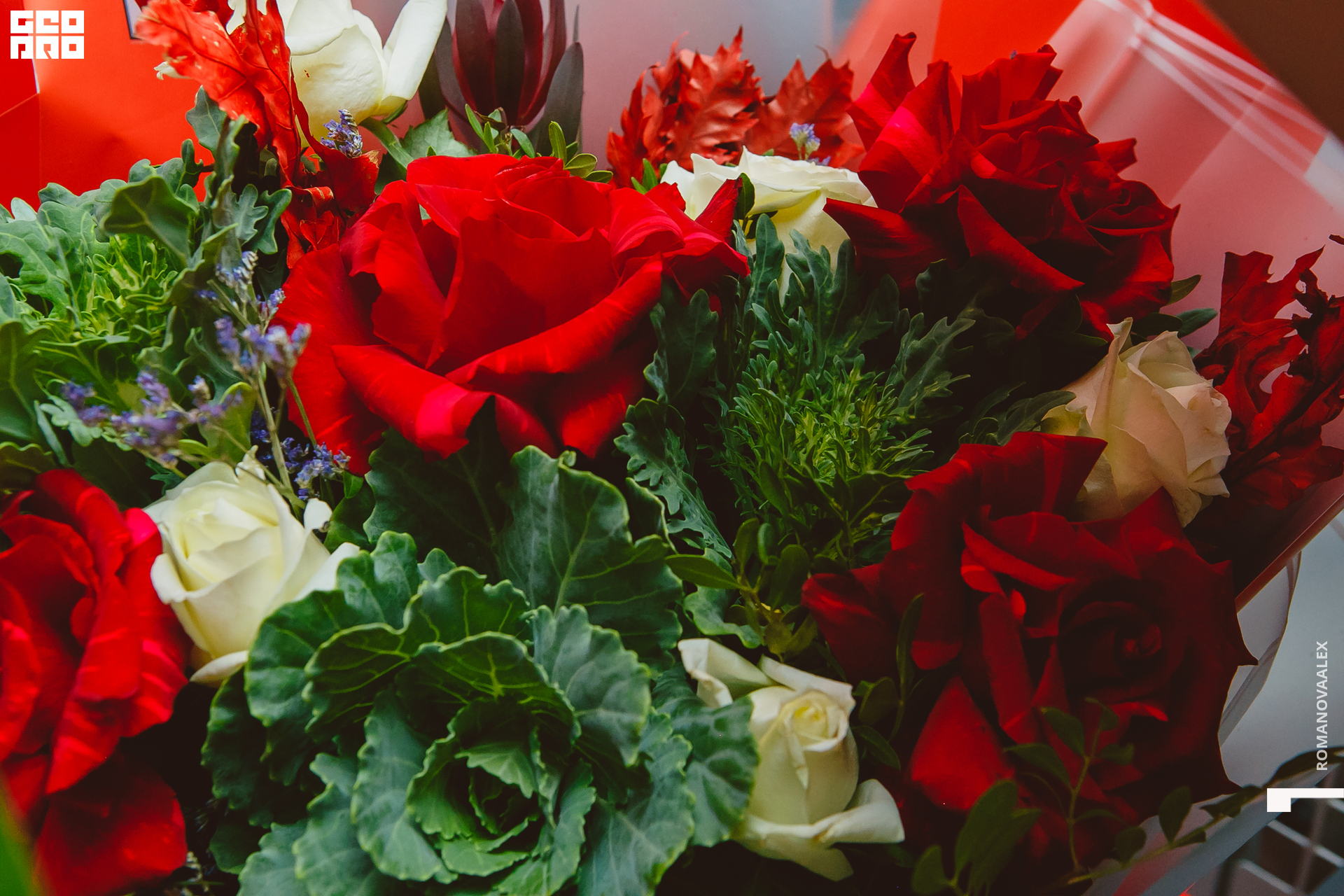 034  151022 @romanovaalex.jpg