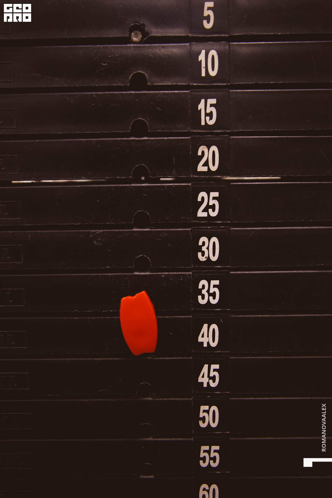 439 211127  133102 _ale_romanova.jpg