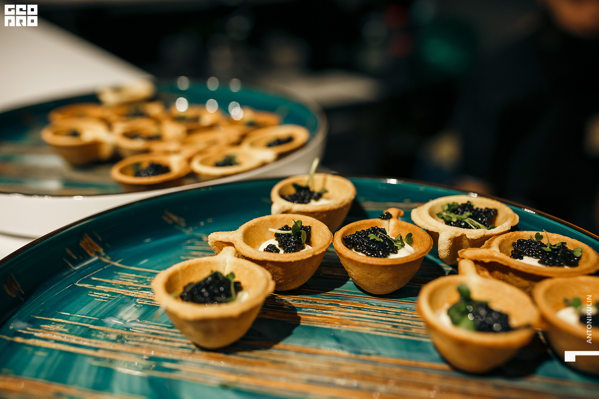 untitled shoot-6435.jpg