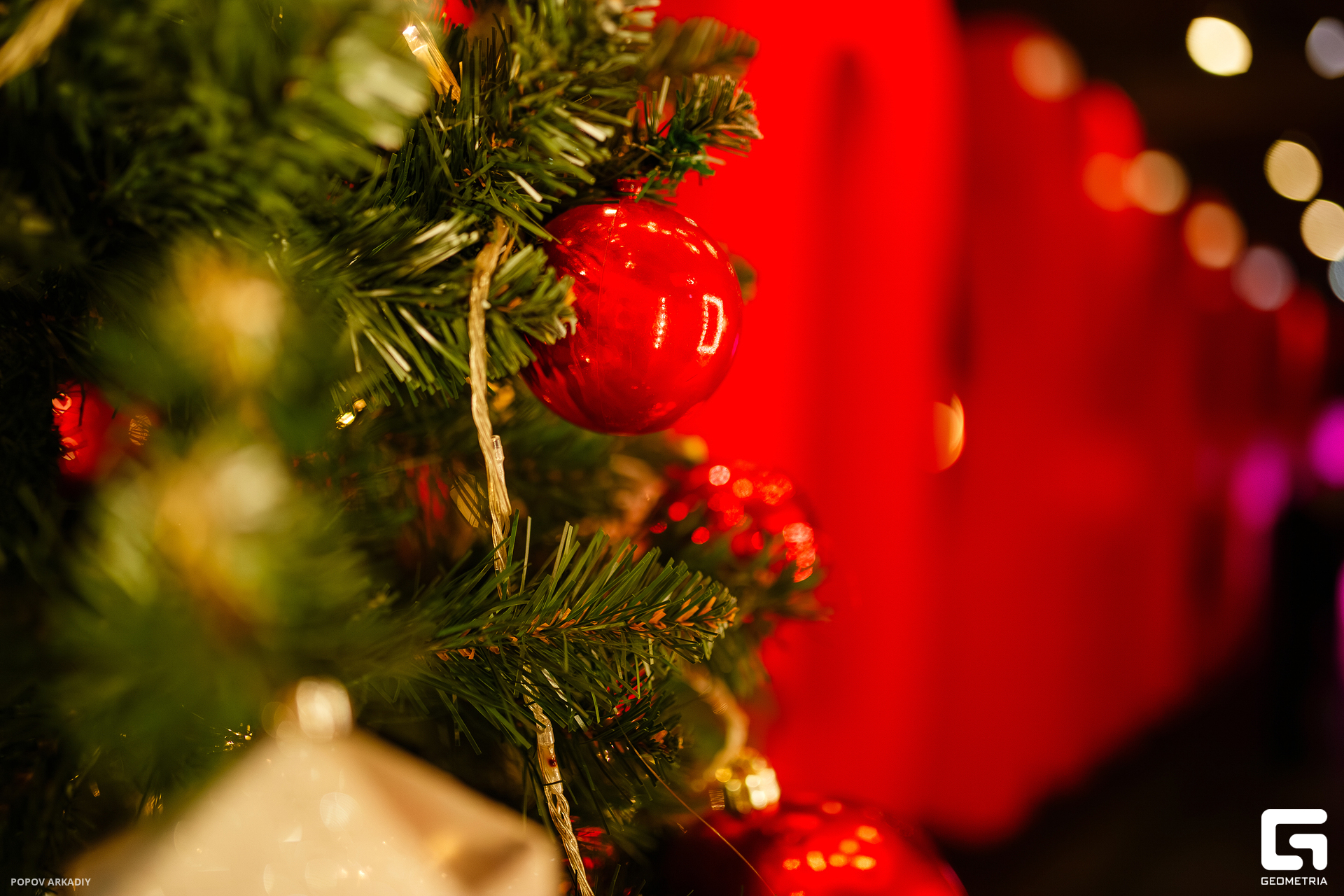 IMG_1595-Улучшено-Ум. шума.jpg