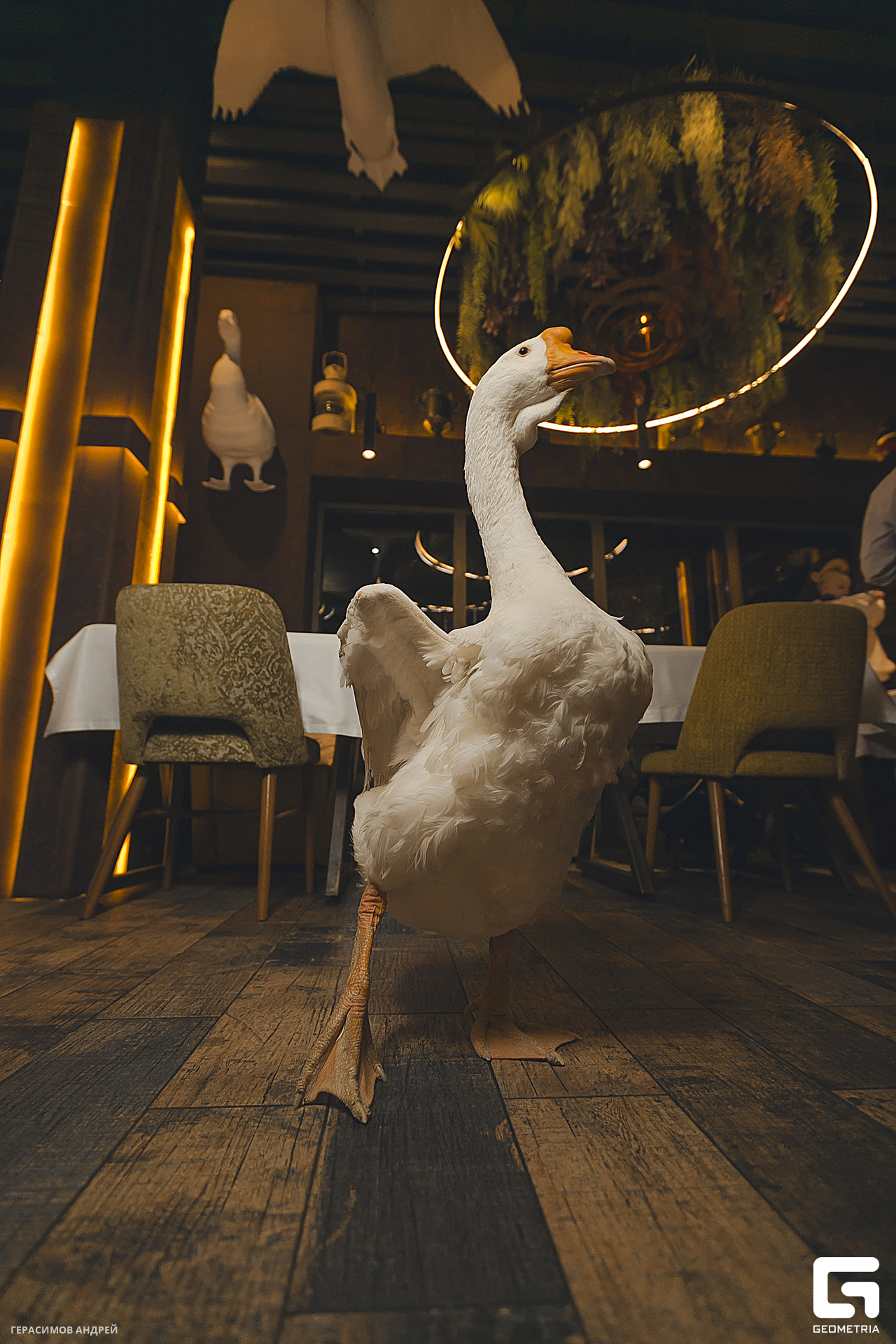 024 Gussi 28. 02.jpg