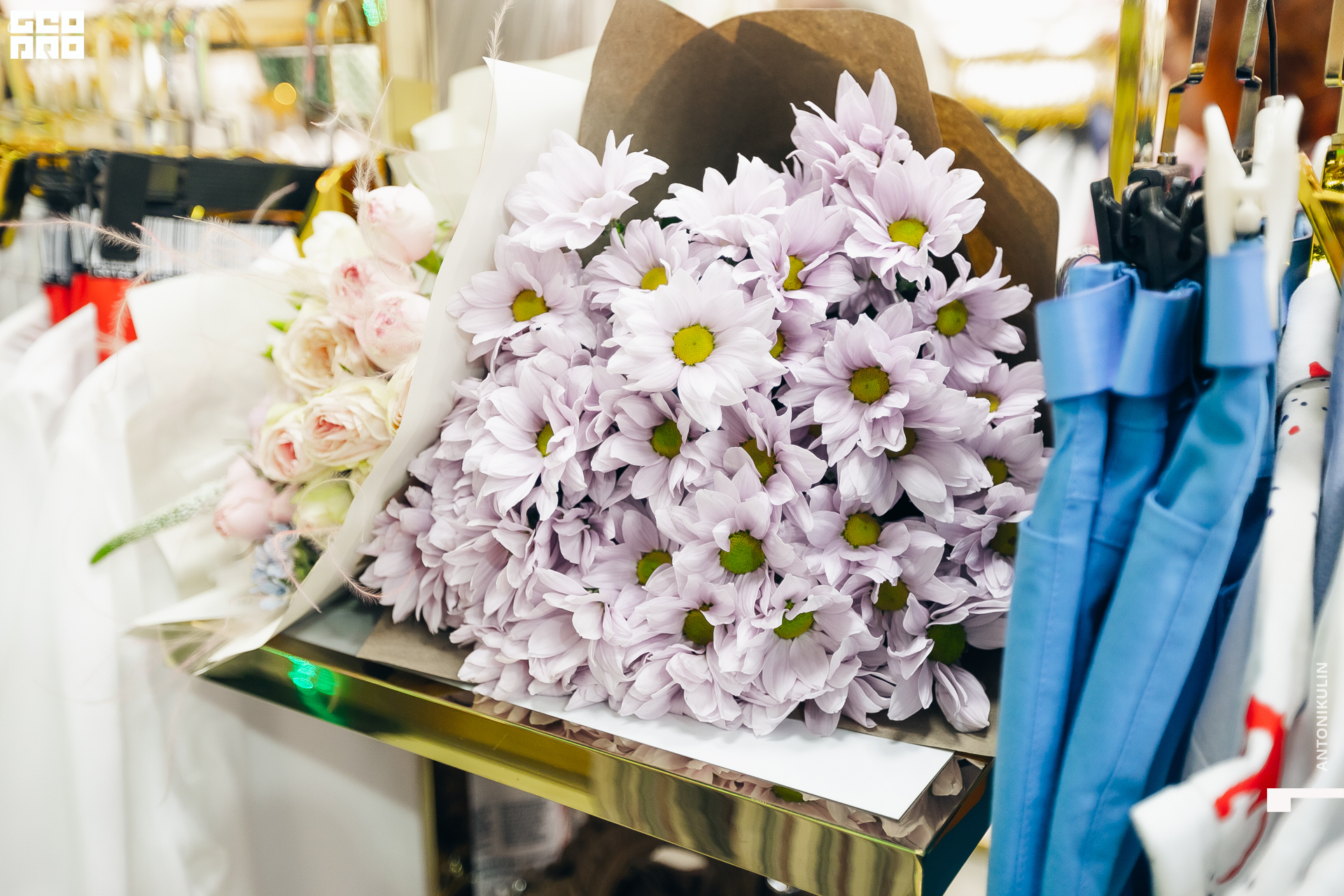 untitled shoot-4899.jpg