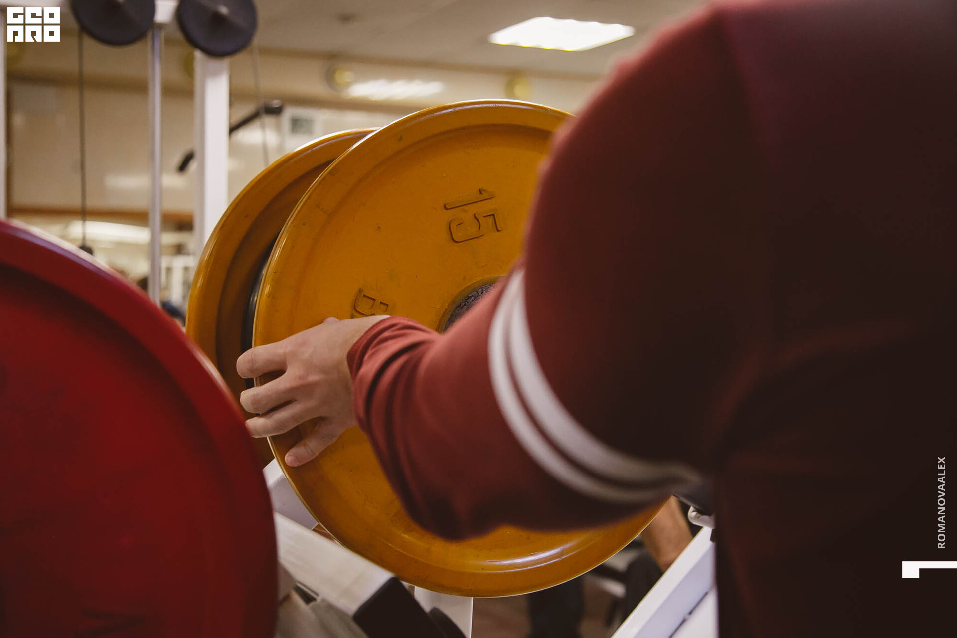 329 211127  120046 _ale_romanova.jpg