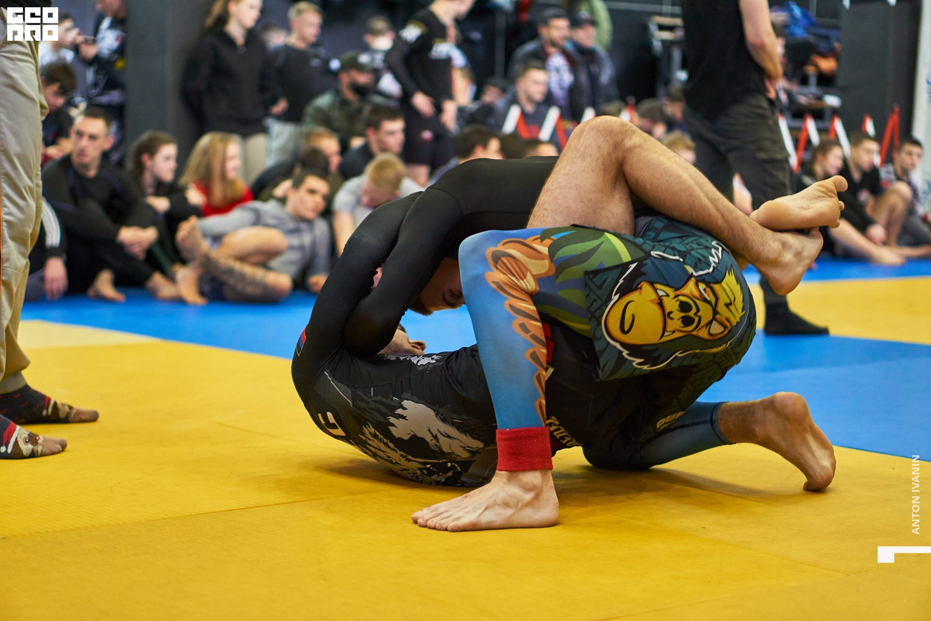 DSC08956 (Копировать).jpg