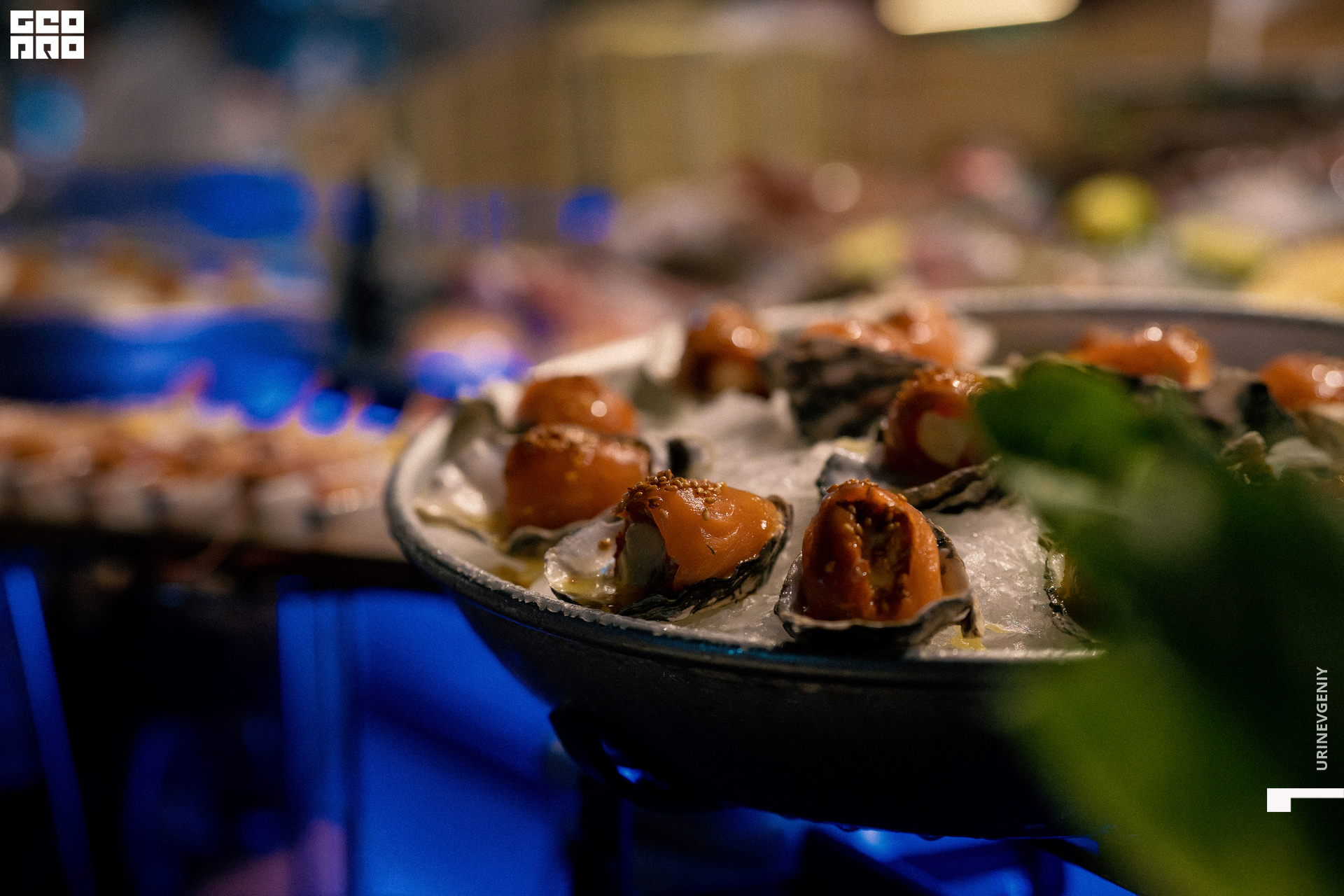 31.10.2021. Kraken (15).jpg