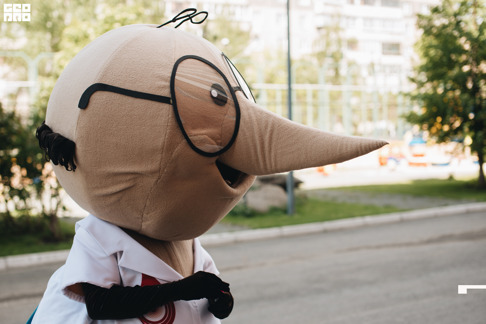 003 2022-06-01-141631_arseniyermakov.jpg