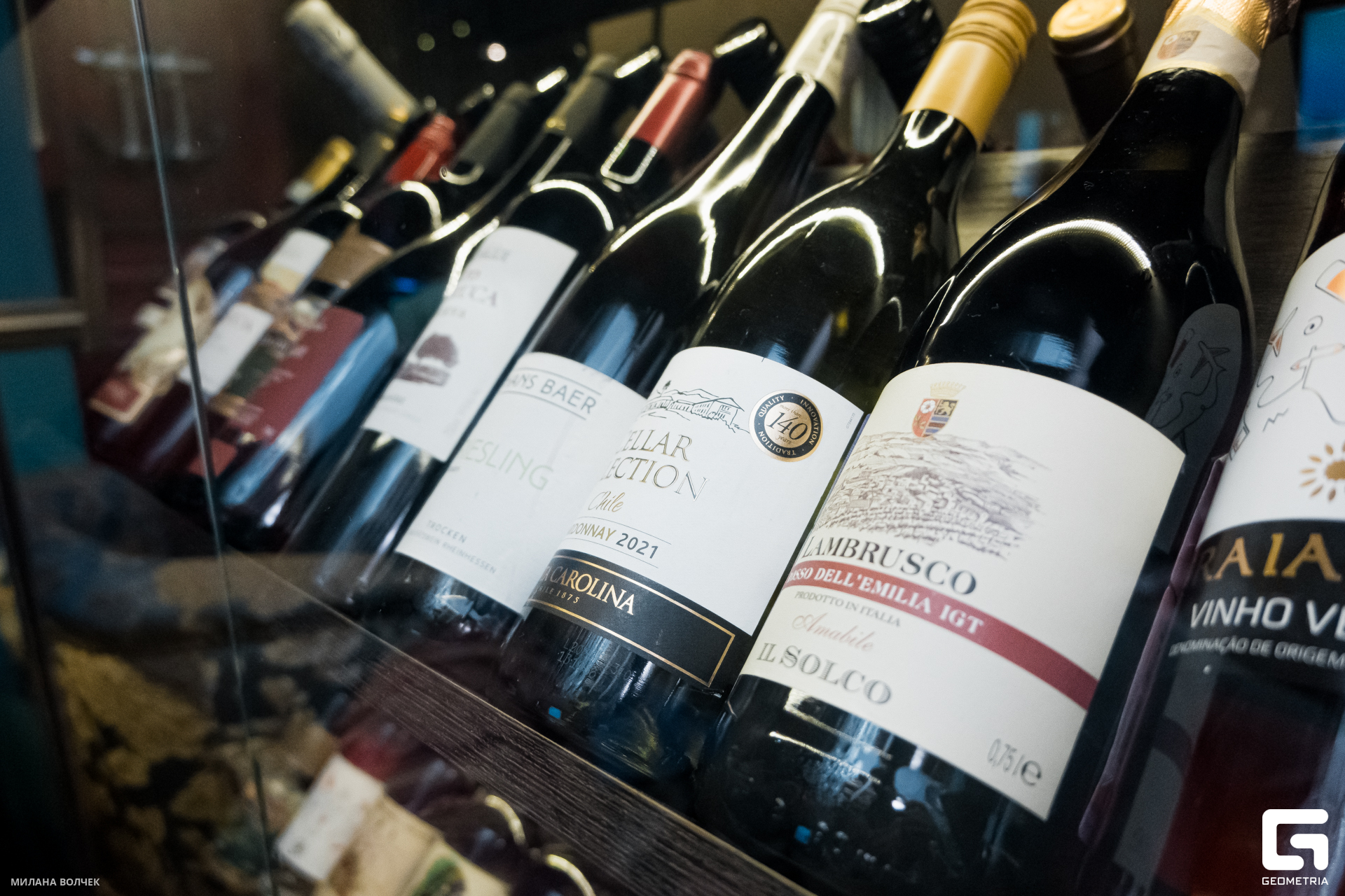 052_20231125 Волчек.jpg