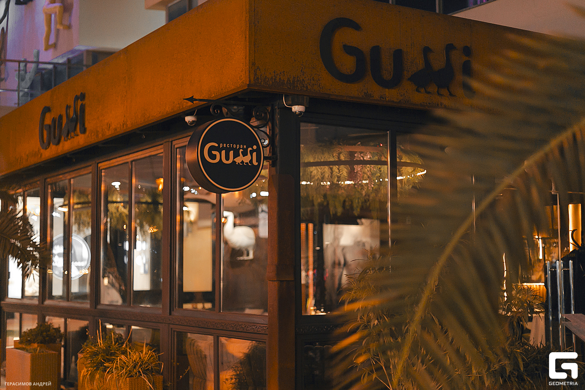 000 Gussi 28. 02.jpg