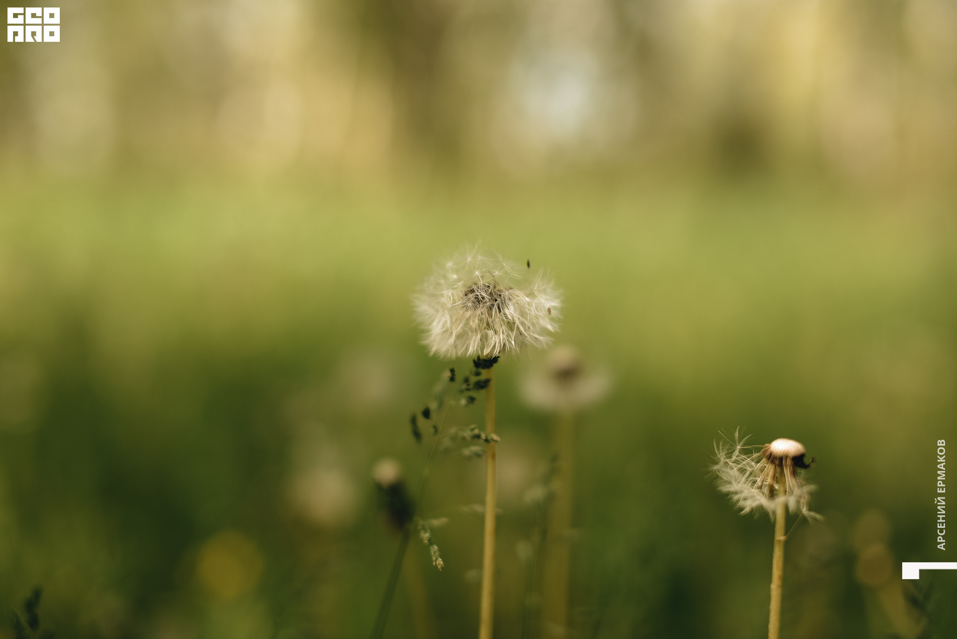 089 2022-06-11-141521_arseniyermakov.jpg