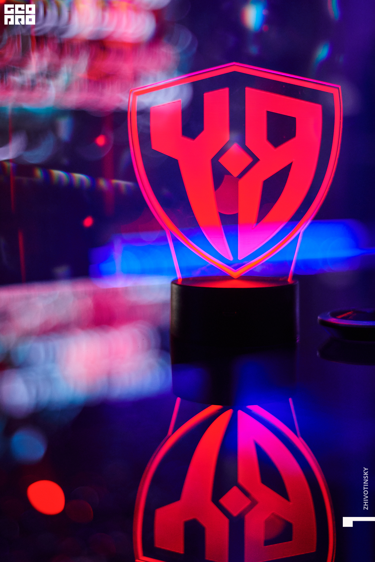 002_28-05-22_1-15 _Zhivotinsky.jpg