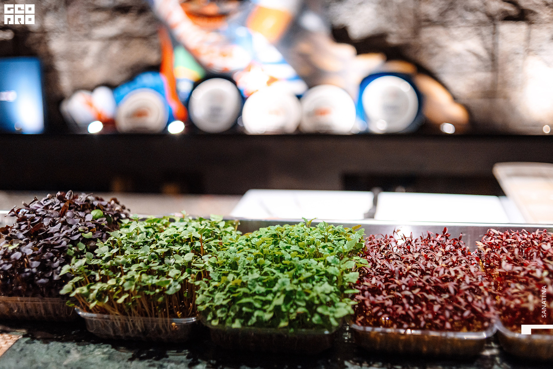 0056_2021-04-03_20-36-09 - Sanatina.jpg