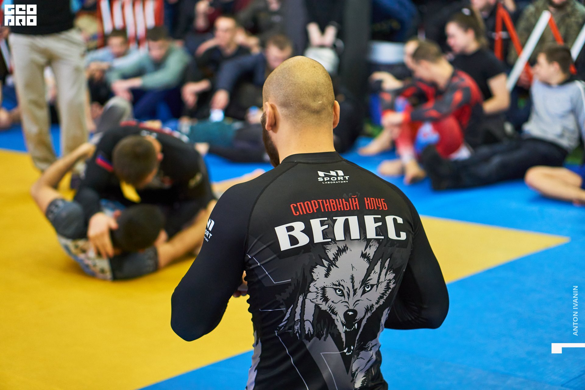 DSC09393 (Копировать).jpg