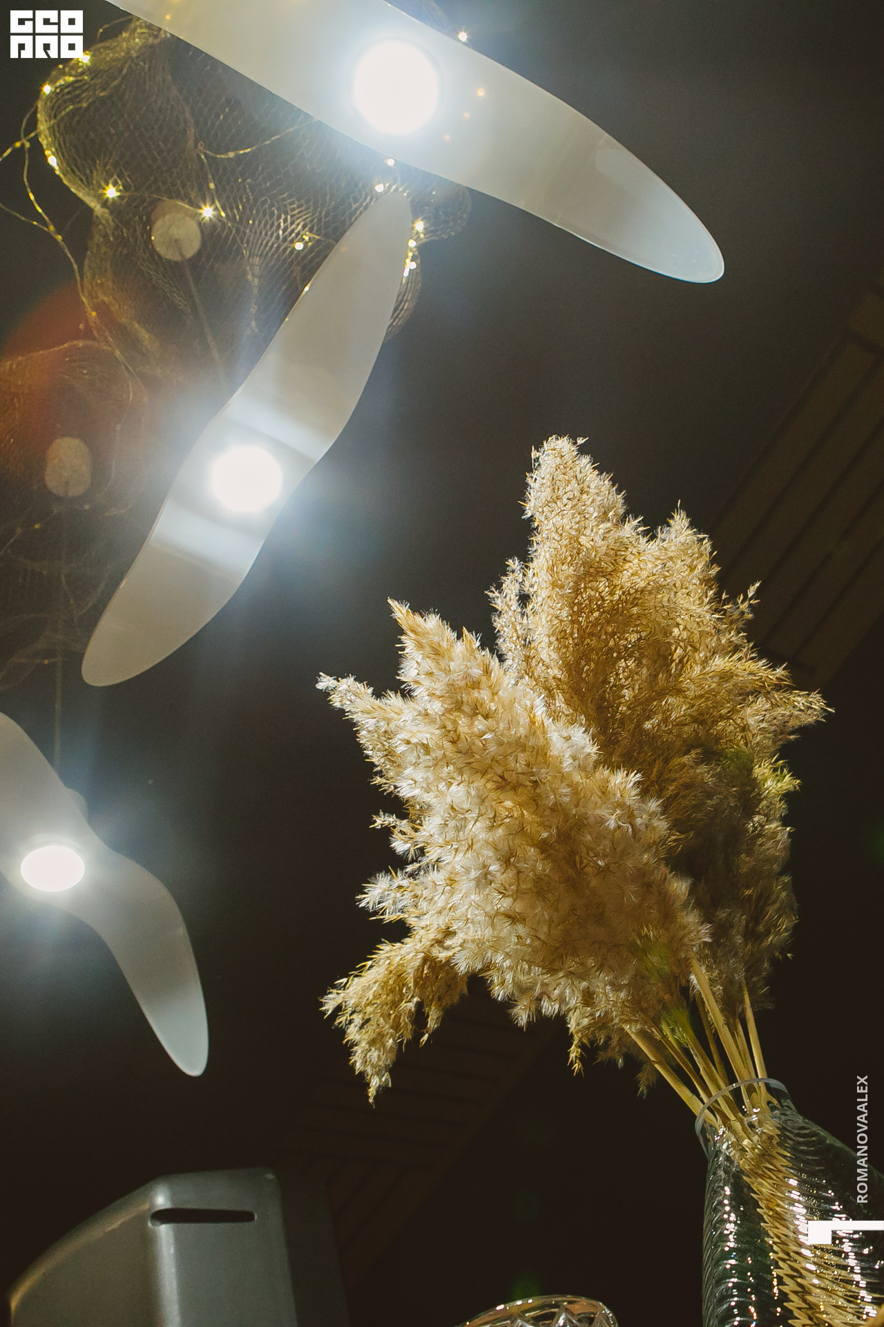 038 201122  195241 @romanovaalex.jpg