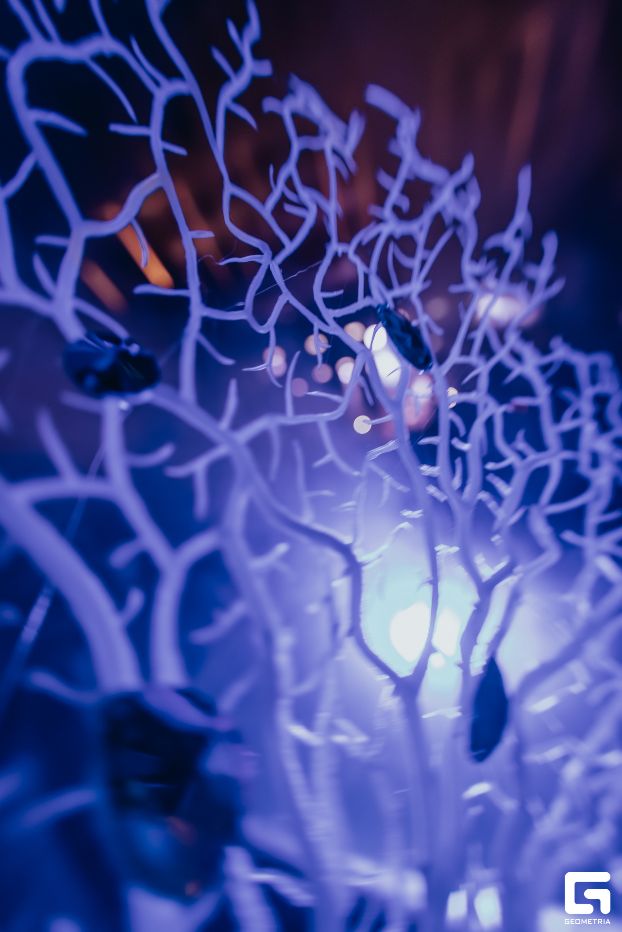 @dmitry_chuntul [White party 2025 NIGHTl]-0258.jpg