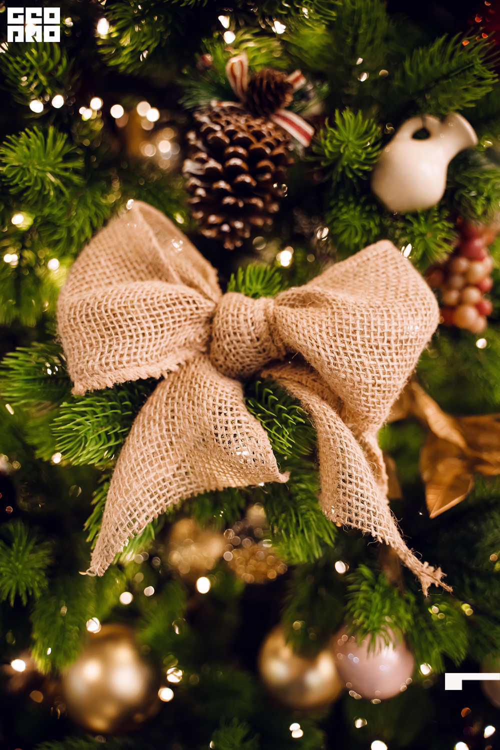 хлеб и нино 24_12_2022 - 155.jpg