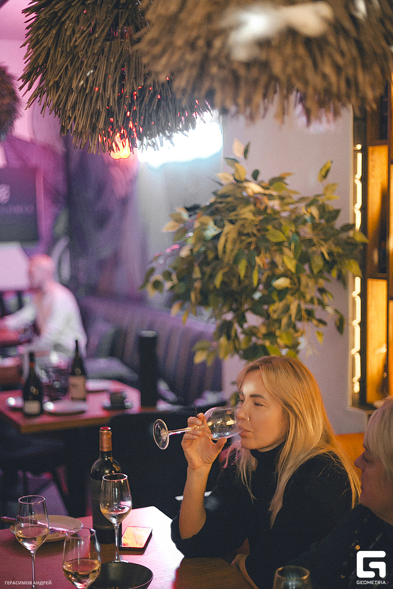 031 Свиристели 17. 02.jpg