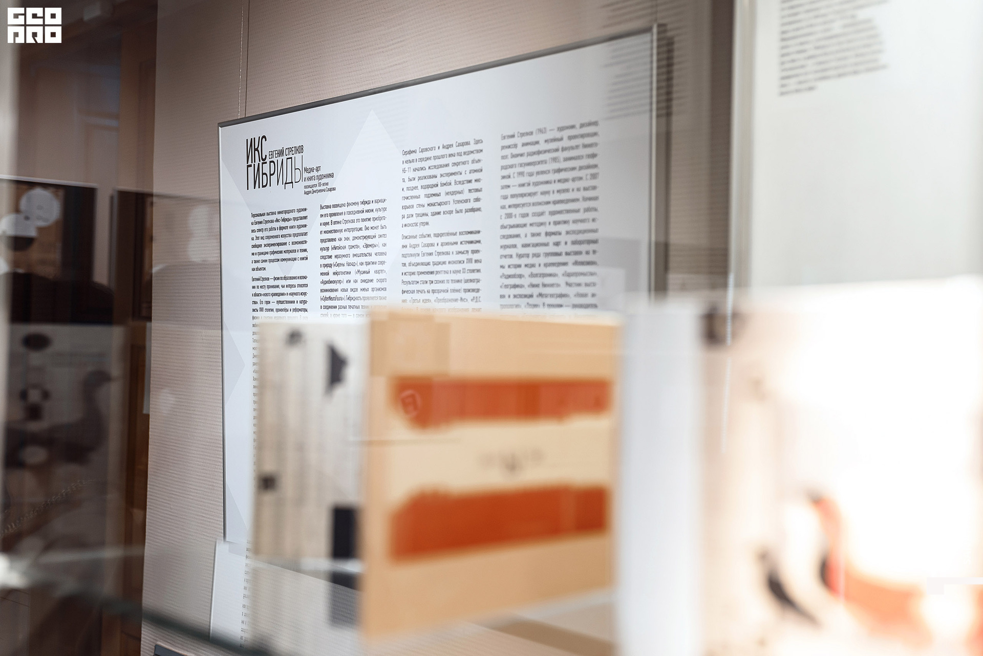 0079_2021-01-28_19-28-46 - Sanatina.jpg