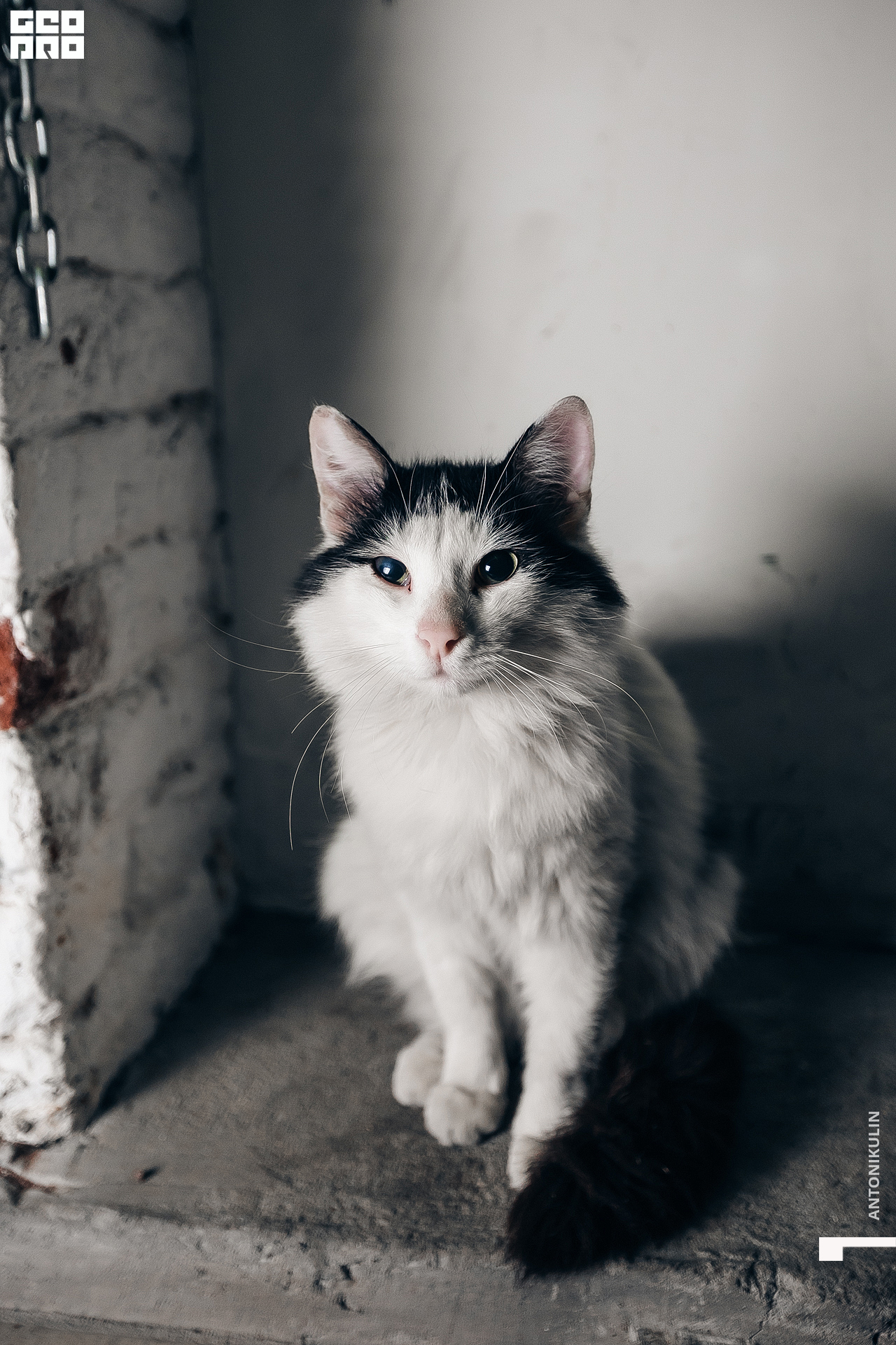 untitled shoot-1050.jpg