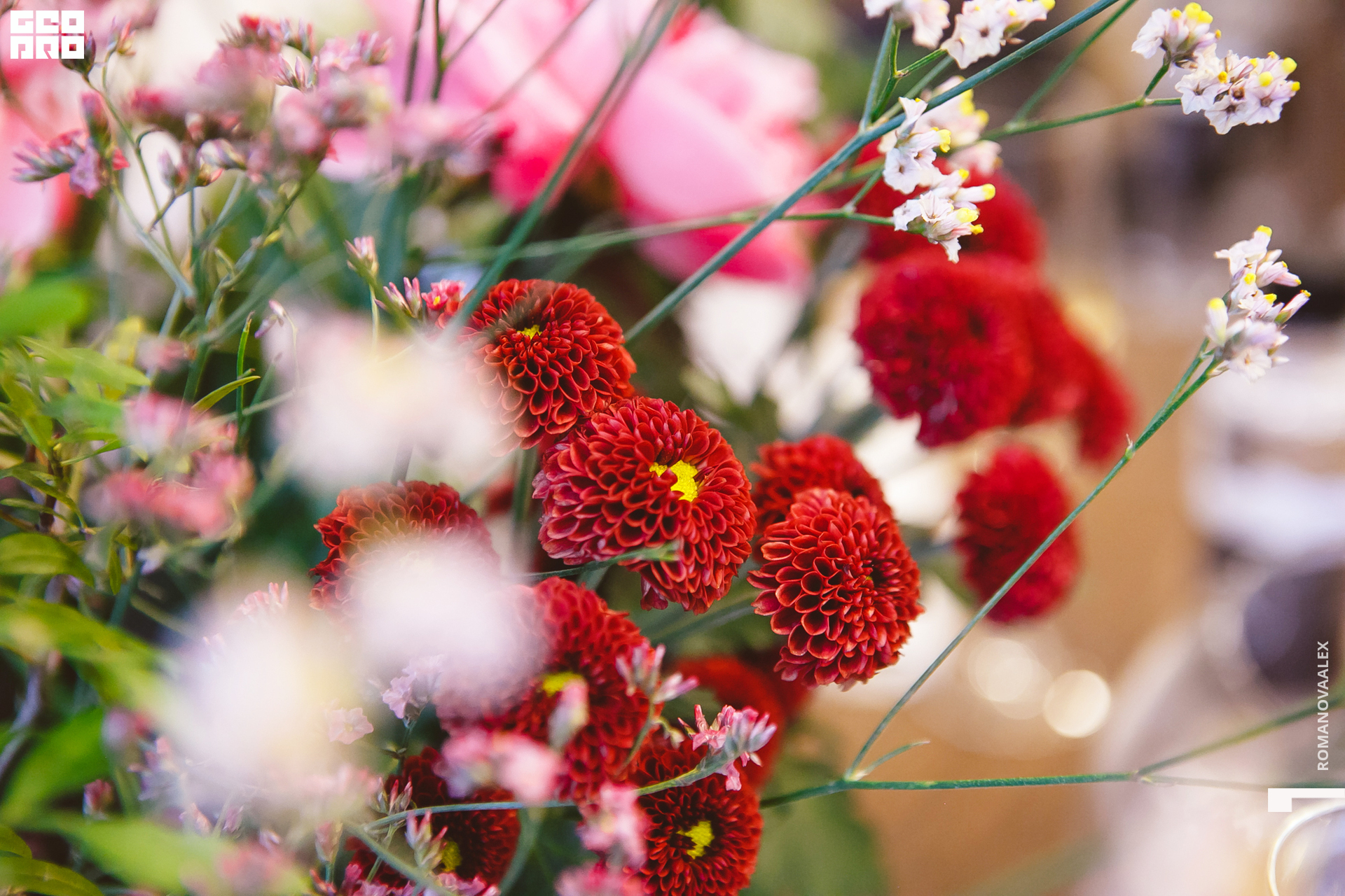 082 210615  202634 _romanovaalex.jpg