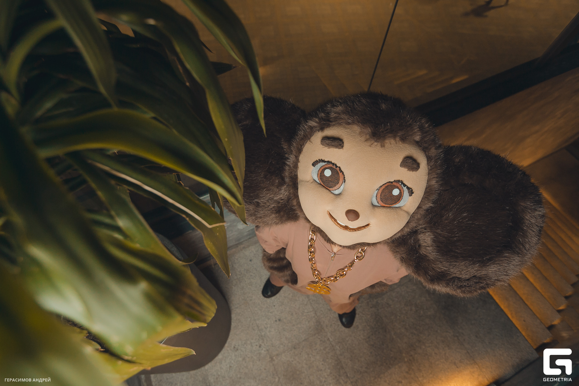 001 Виноград 25.08.jpg