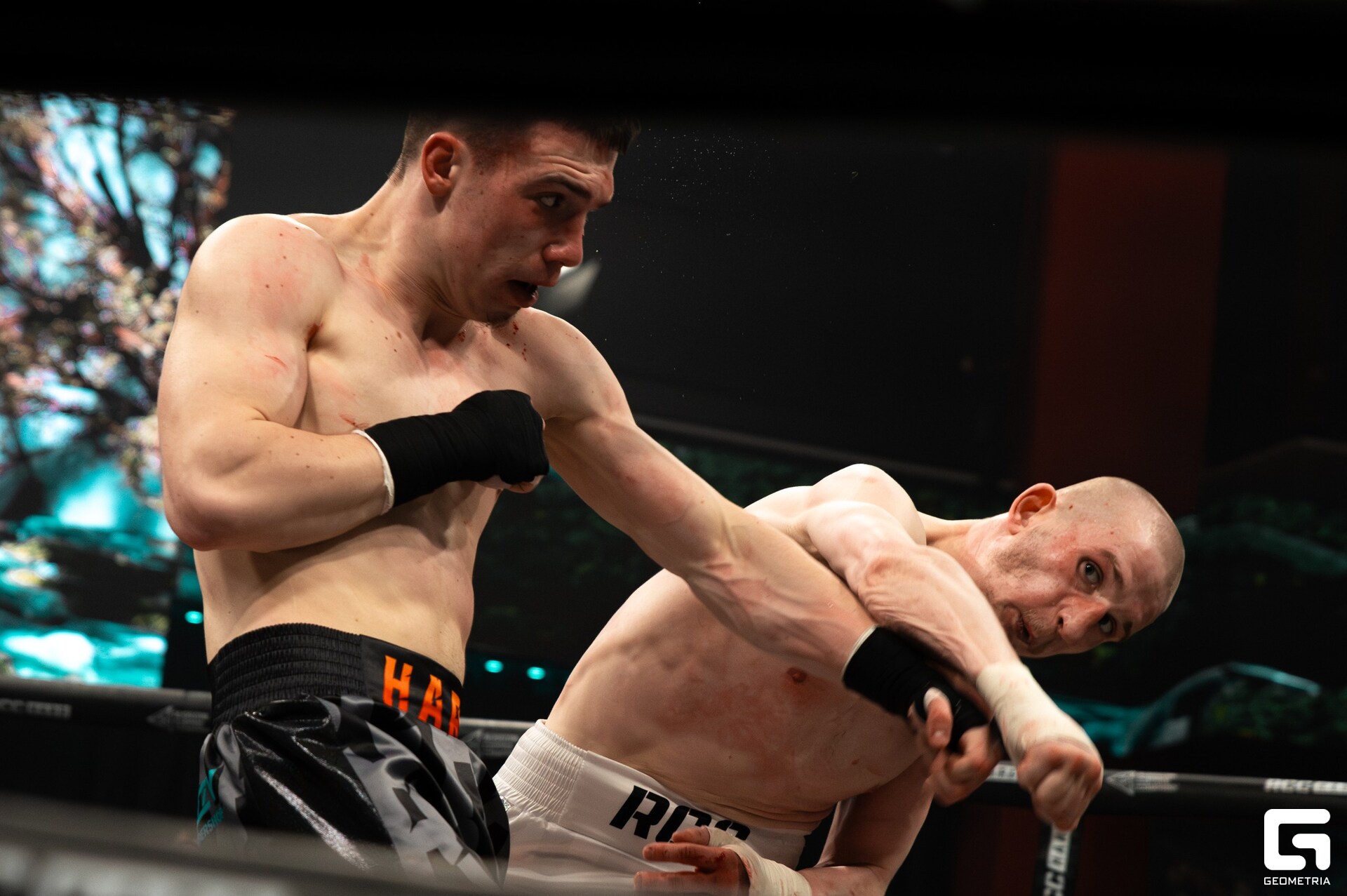 024 - 29_03_25 - 18_33_56 - Kinzabaeva_resized.jpg