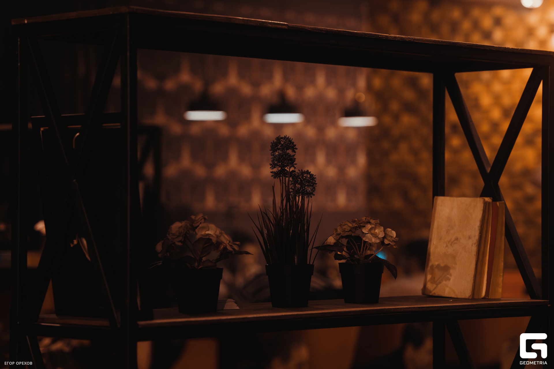 DSC03276-Улучшено-Ум. шума.jpg