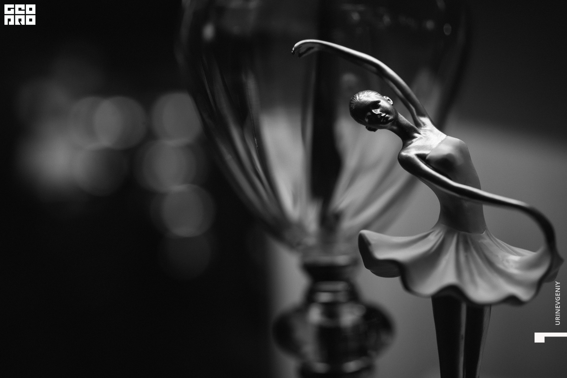 26.12.2020. Балерина и Бифштекс (0).jpg