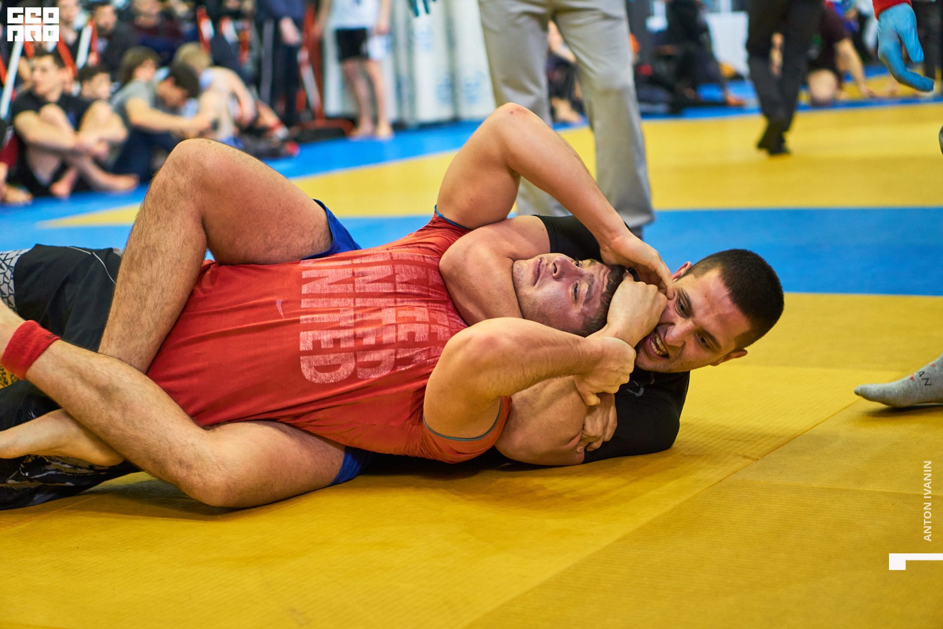 DSC09339 (Копировать).jpg