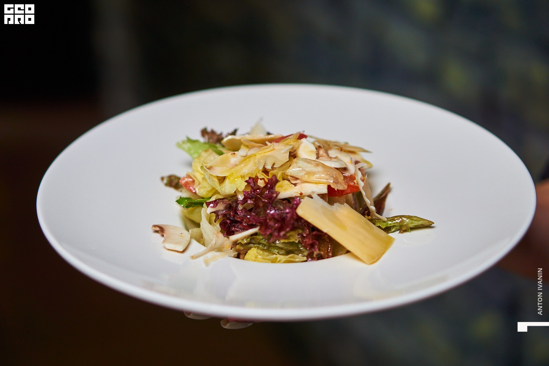 DSC04396 (Копировать).jpg